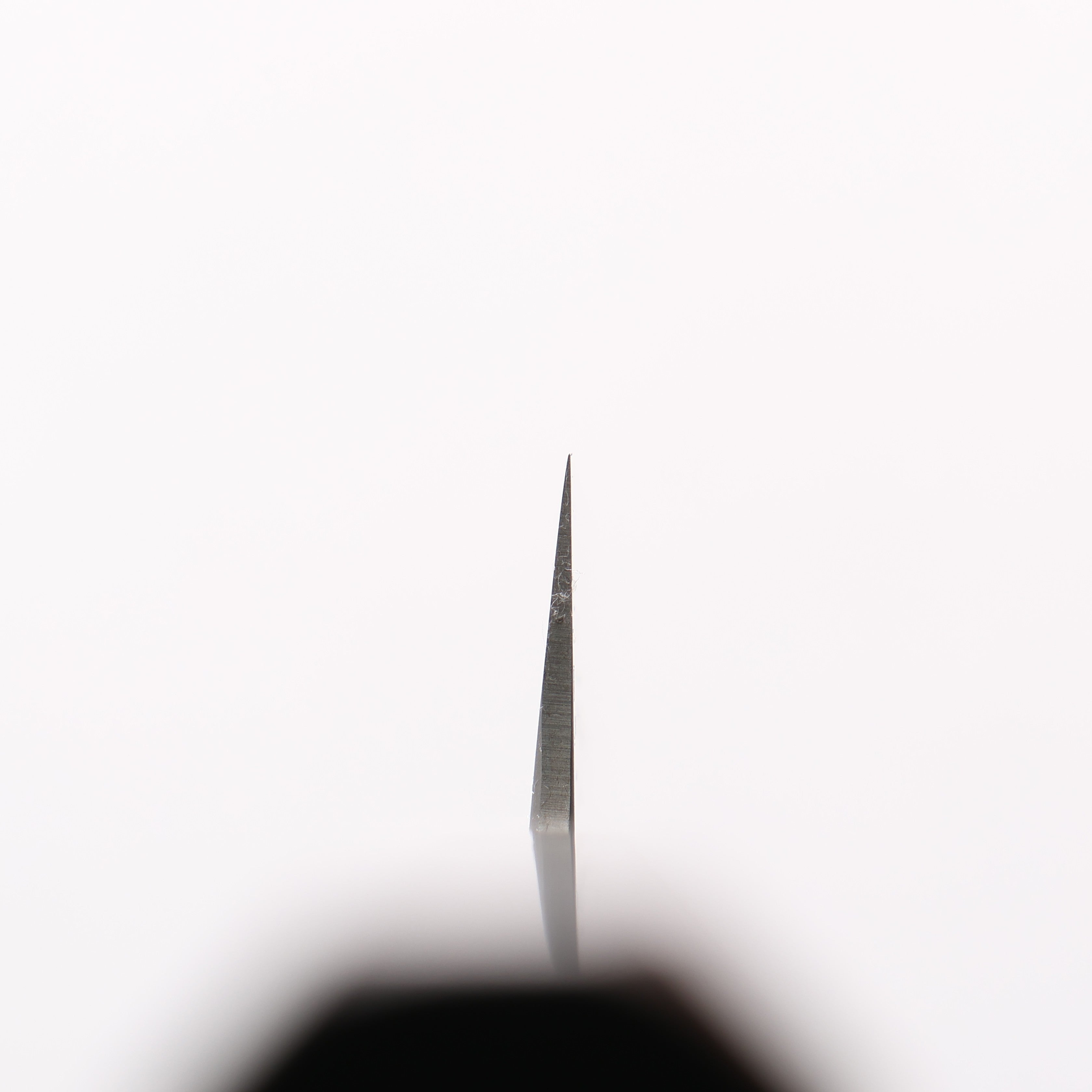 Sakai Takayuki Silver Steel No.3 Petty-Utility 150mm Ebony Wood Handle - Seisuke Knife