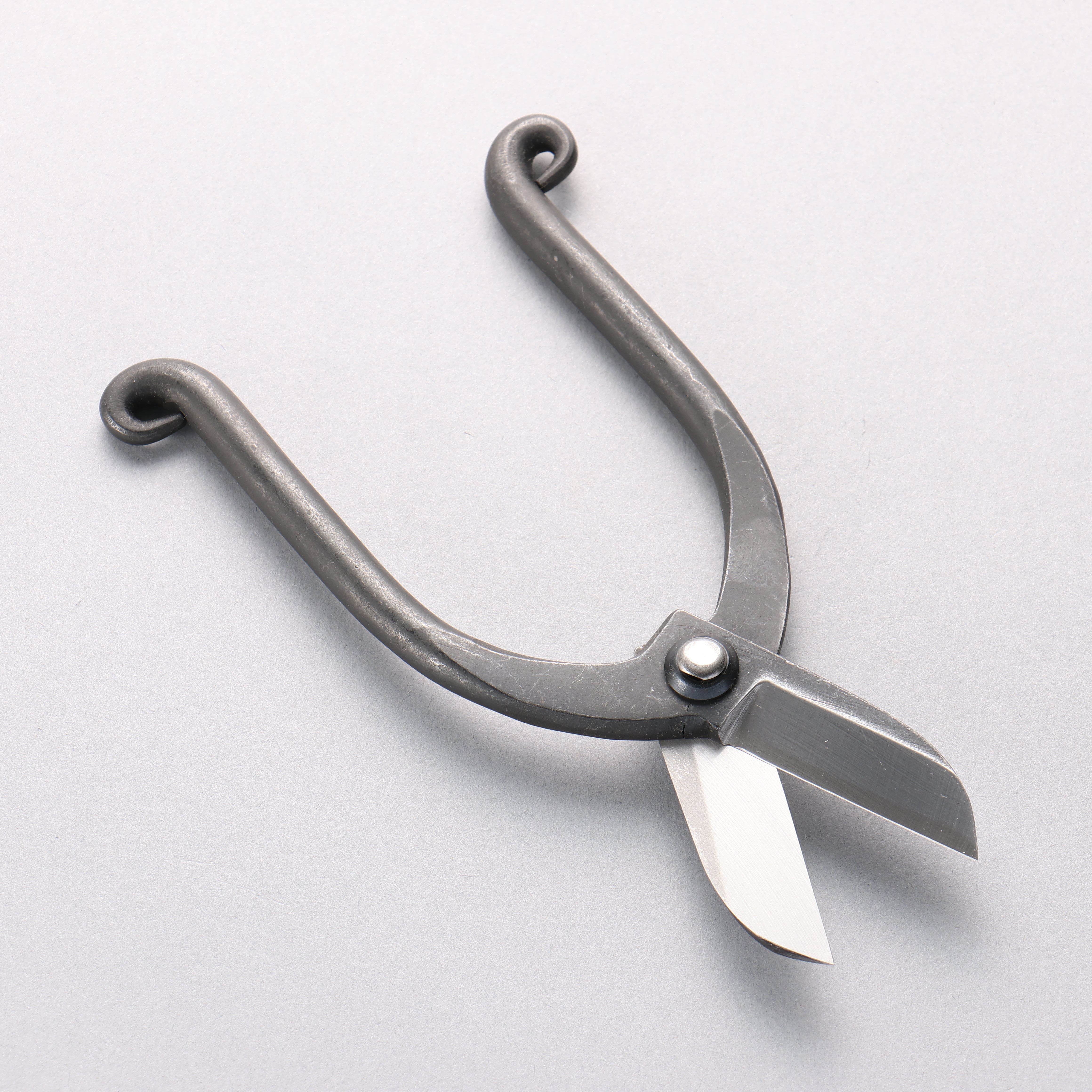 Sakai Takayuki Carbon Steel Flower Scissors 165mm - Seisuke Knife