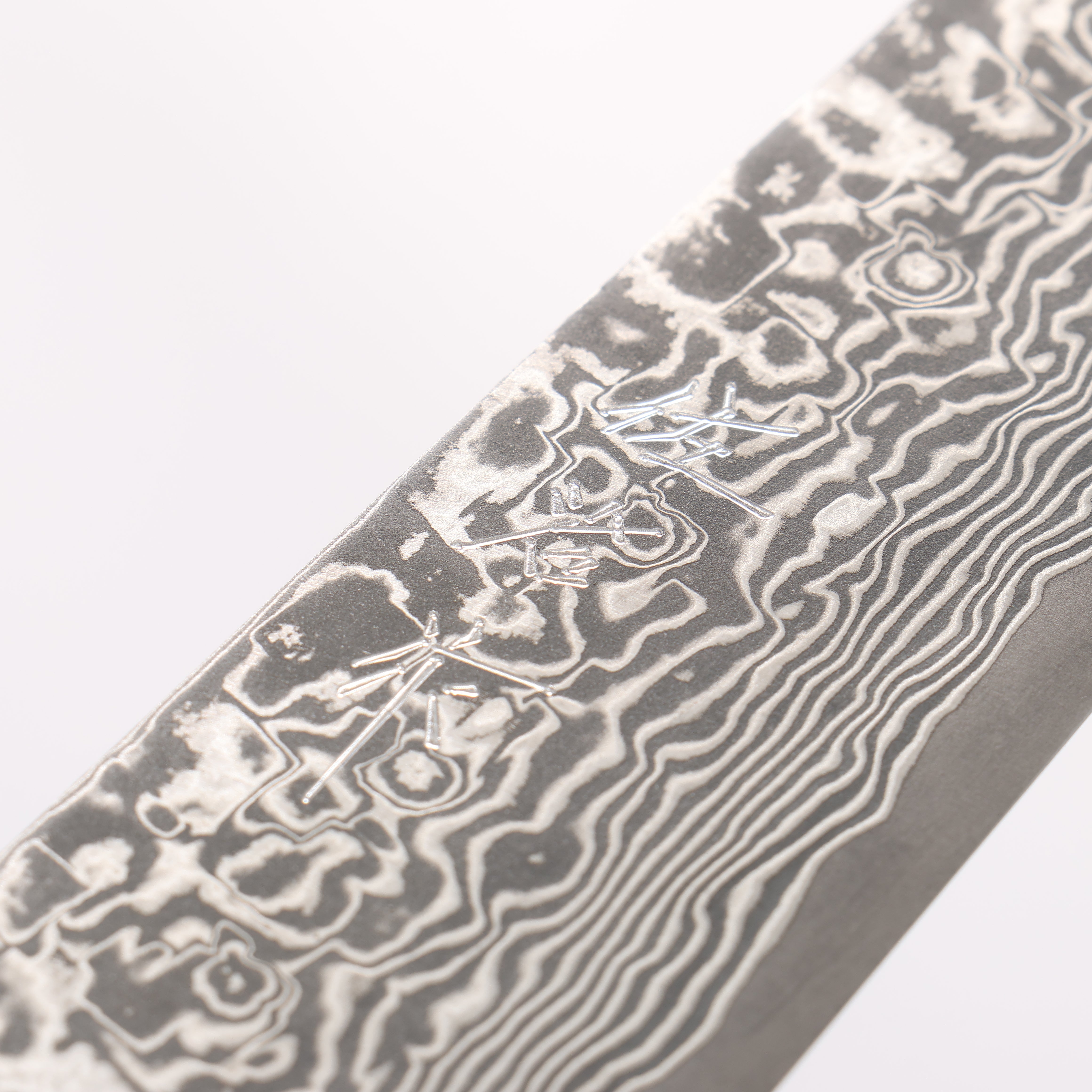 Takeshi Saji SG2 Black Damascus Sujihiki 240mm White Deer Horn Handle - Seisuke Knife