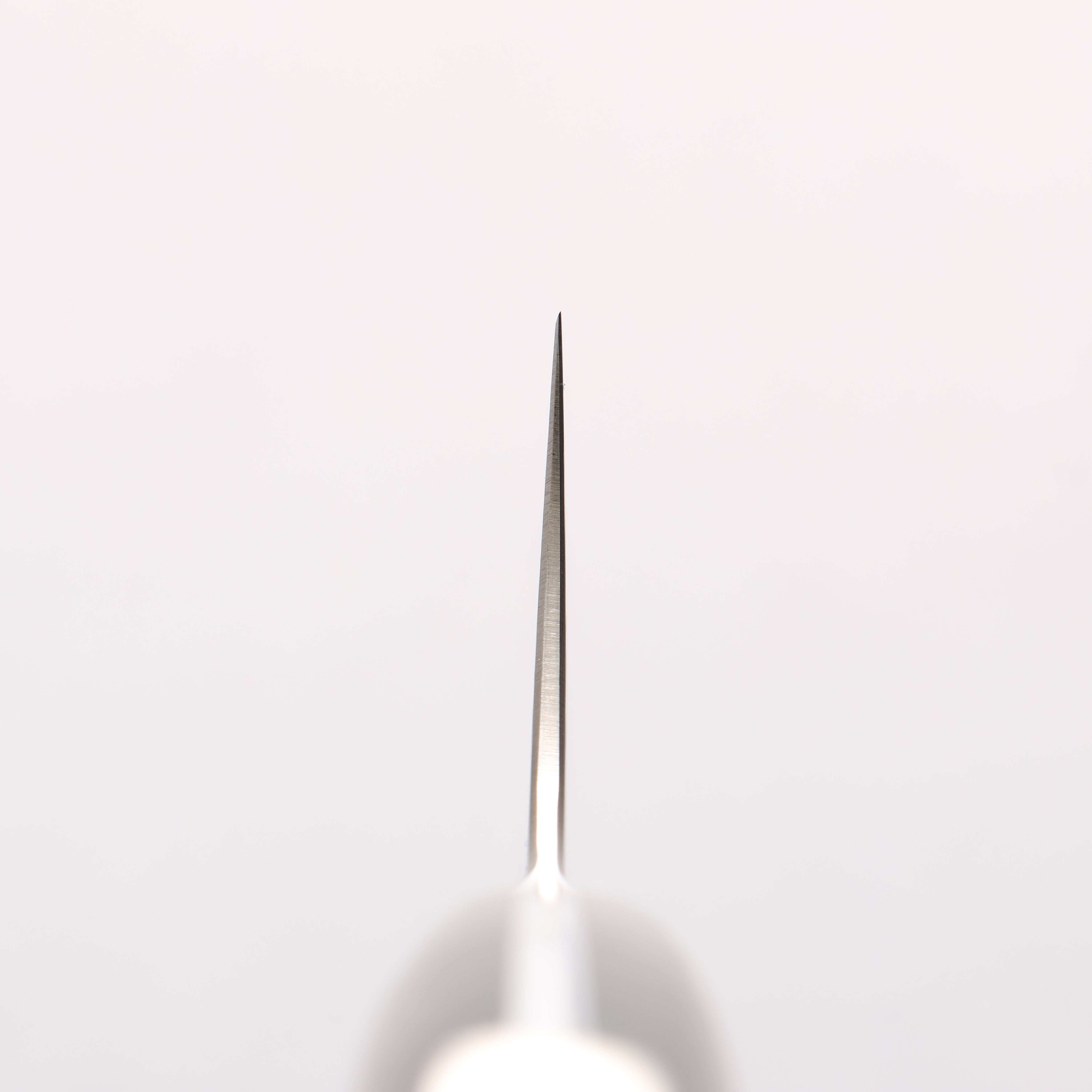 Kajin ZDP189 Damascus Migaki Finished Gyuto 210mm Chinese Quince Burl Inlay Handle - Seisuke Knife