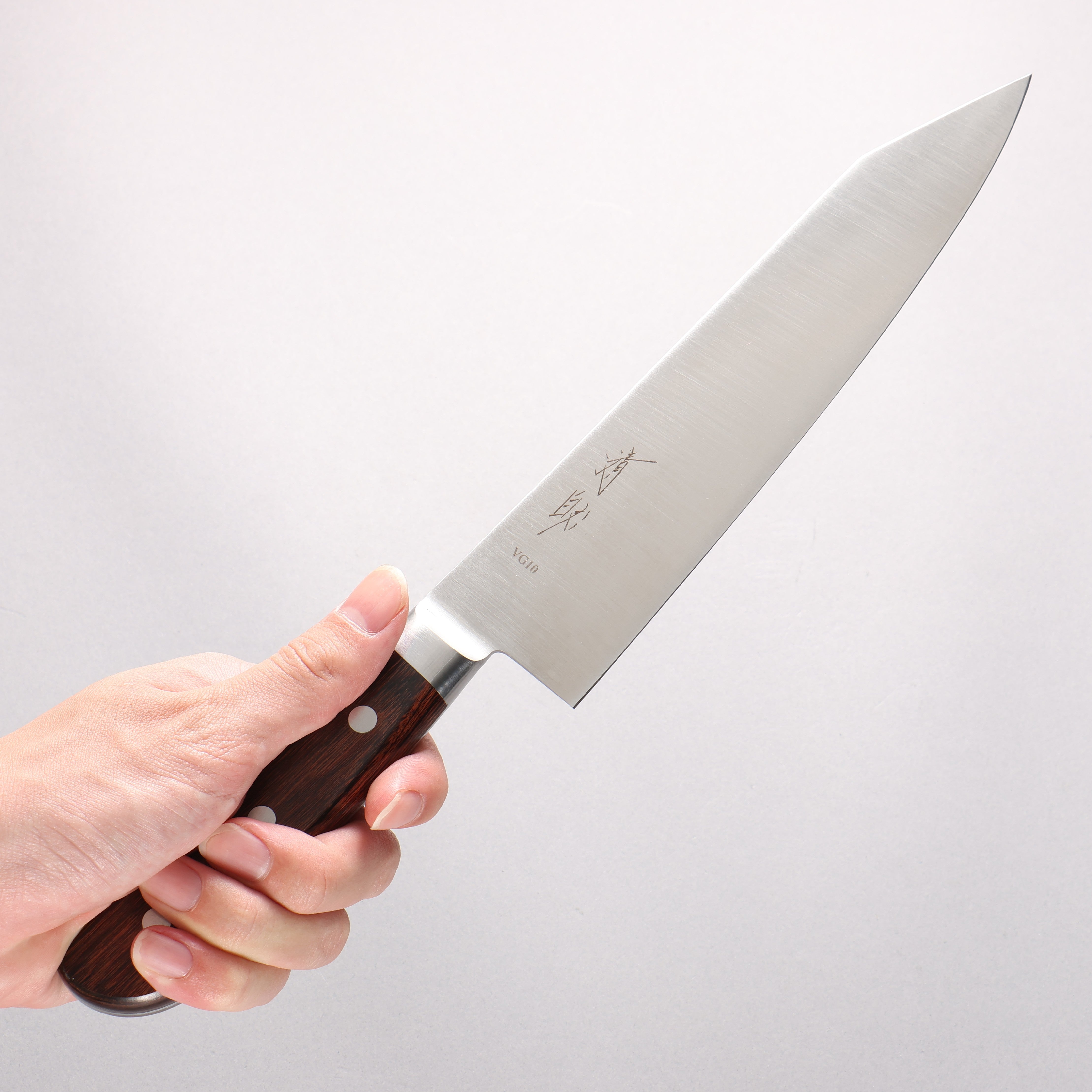 Seisuke VG10 Kiritsuke Gyuto 210mm Mahogany Handle - Seisuke Knife