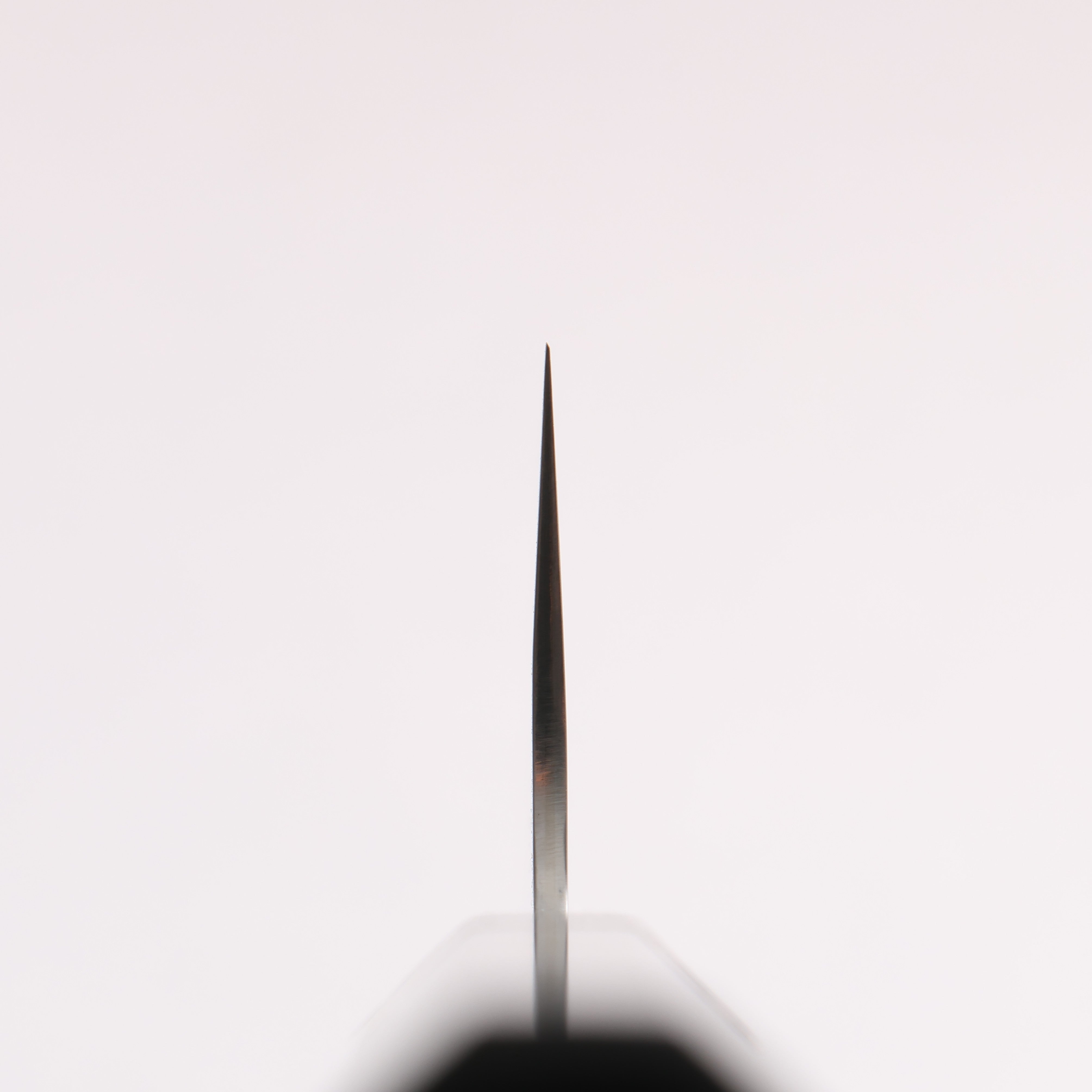 Makoto Kurosaki SG2 Gyuto 210mm Ebony Wood Handle - Seisuke Knife