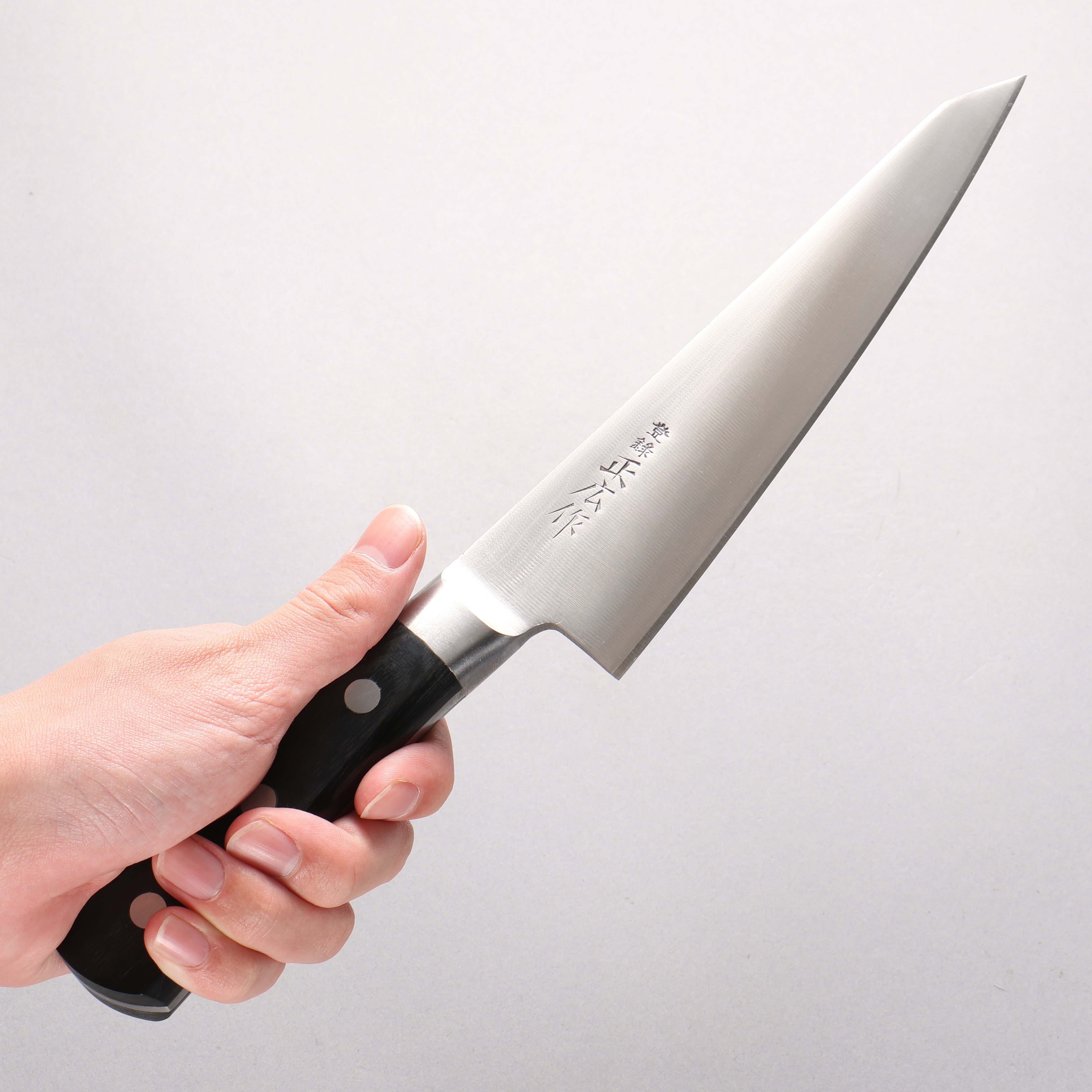 Masahiro ZCD-U Garasuki Boning Knife 180mm - Seisuke Knife