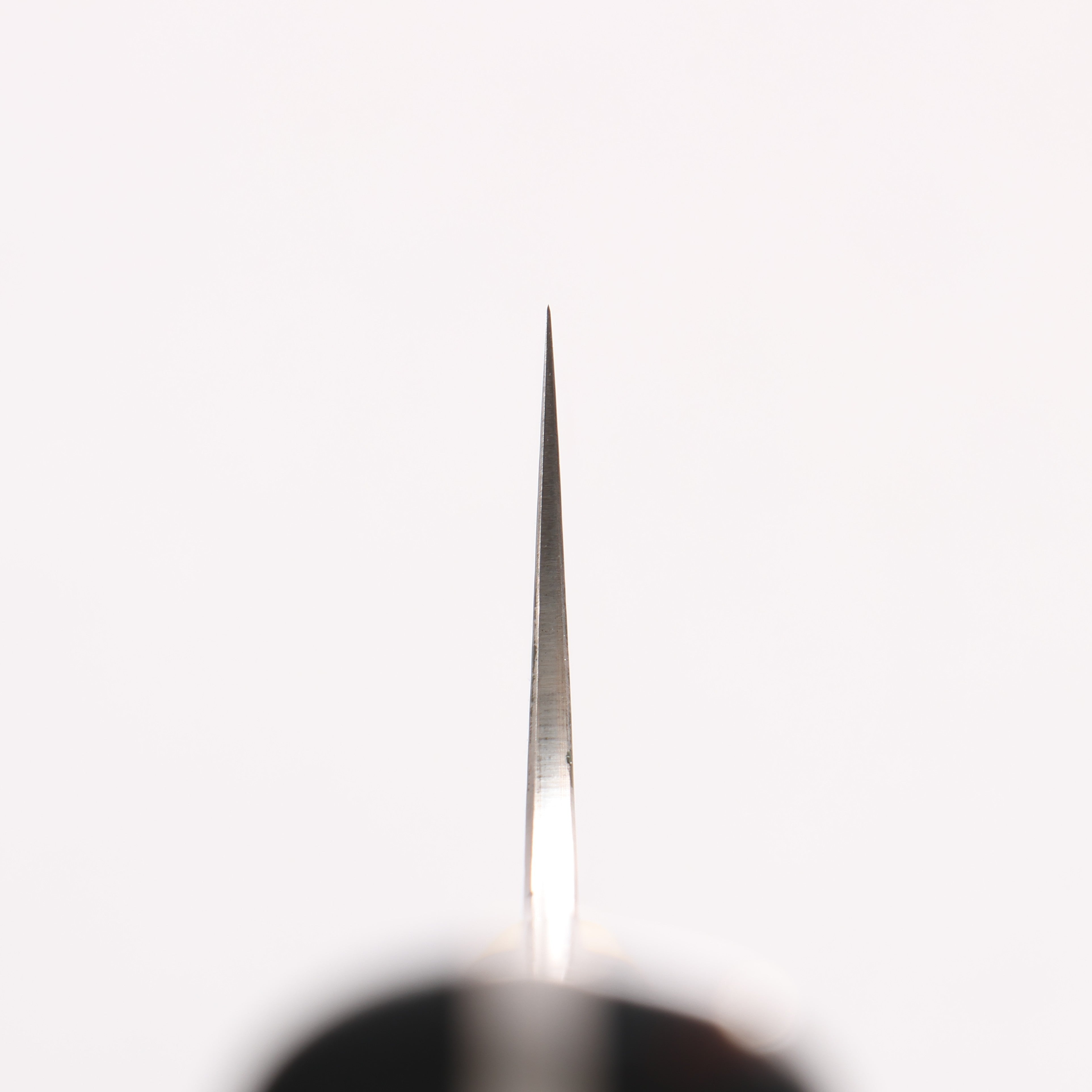 Takeshi Saji Blue Steel No.2 Colored Damascus Gyuto 210mm Black & Brown Corian Handle - Seisuke Knife
