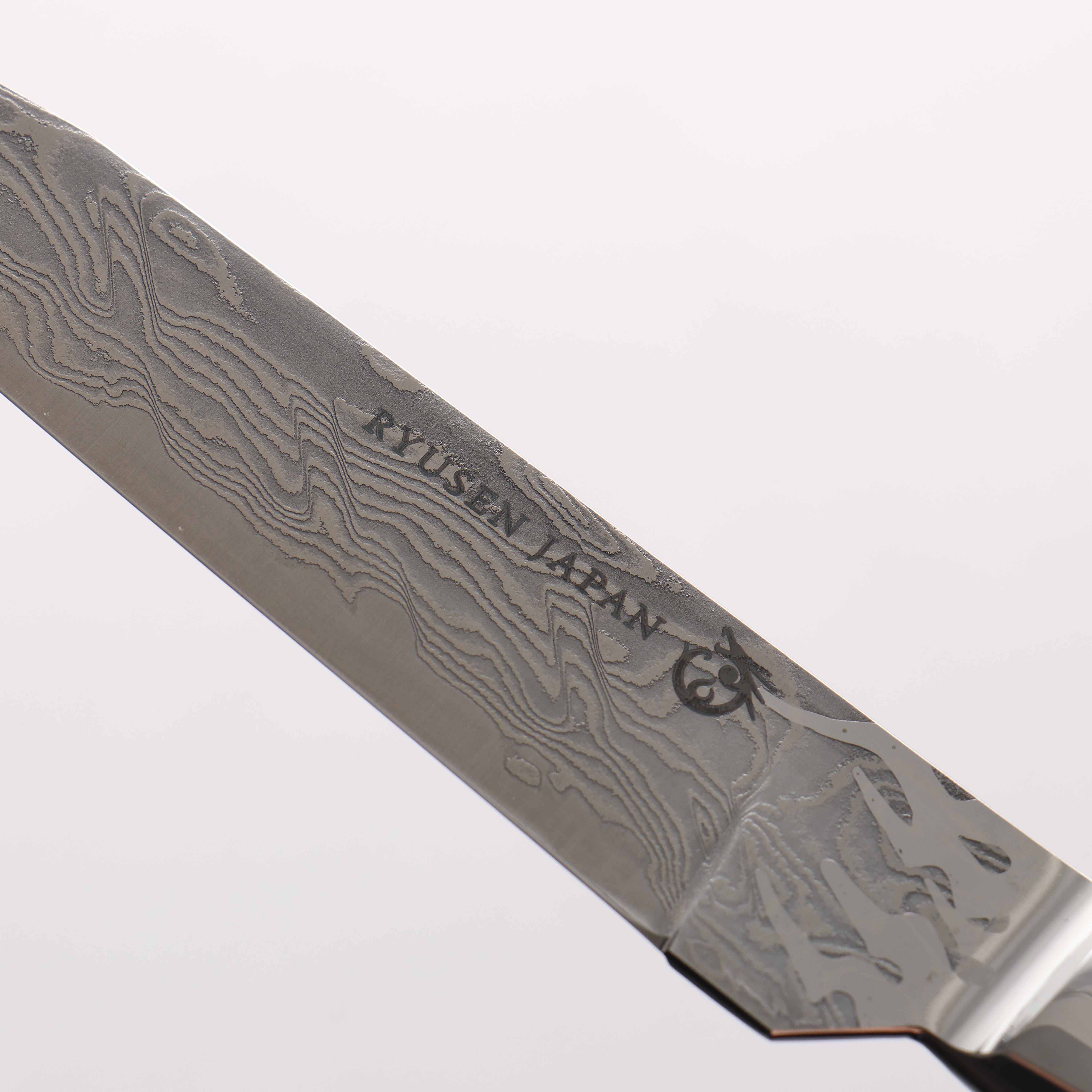 Ryusen SG2 Damascus Steak 100mm Rinka (Black) Handle SK06 - Seisuke Knife