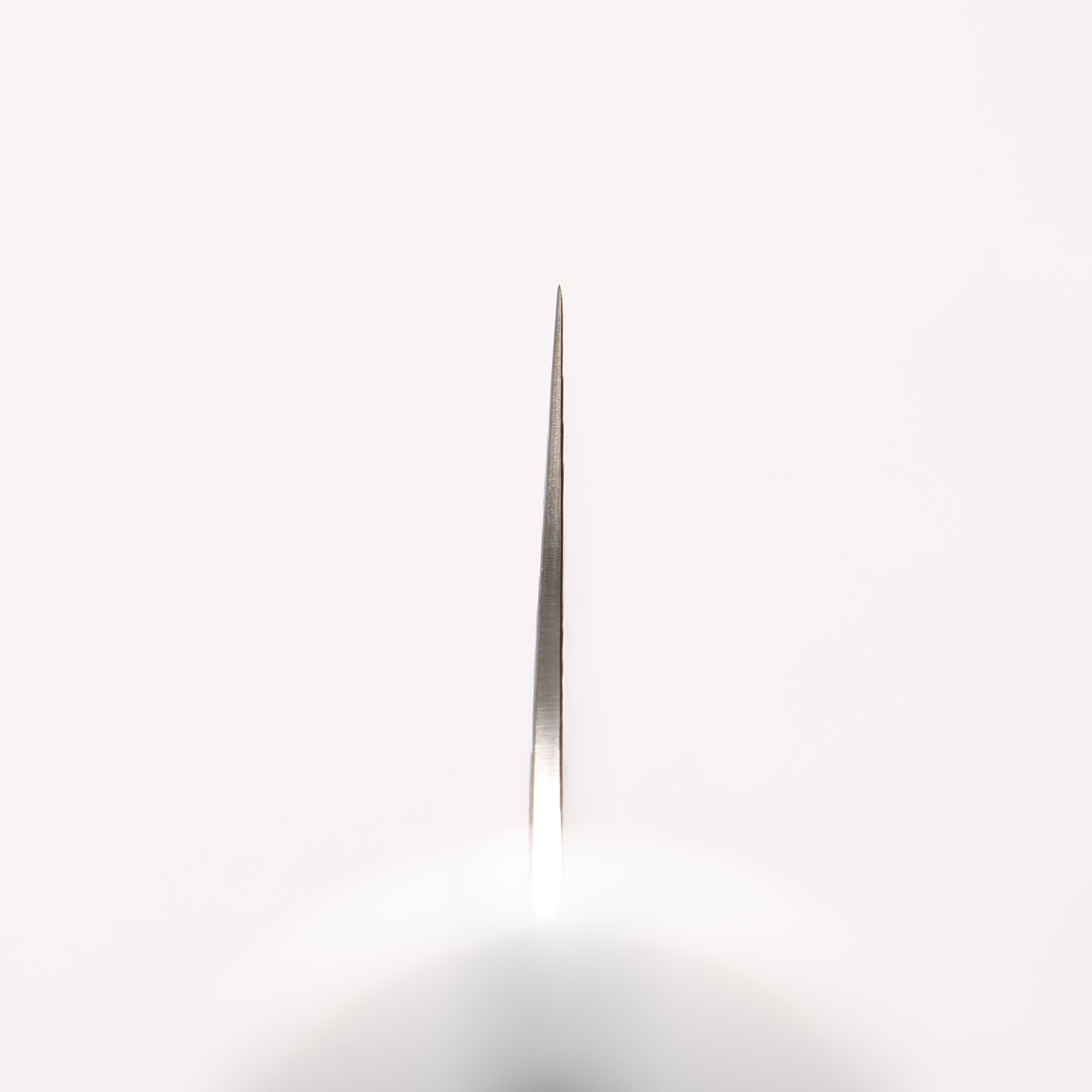 Takeshi Saji SG2 Diamond Finish Damascus Gyuto 240mm White Corian Handle - Seisuke Knife