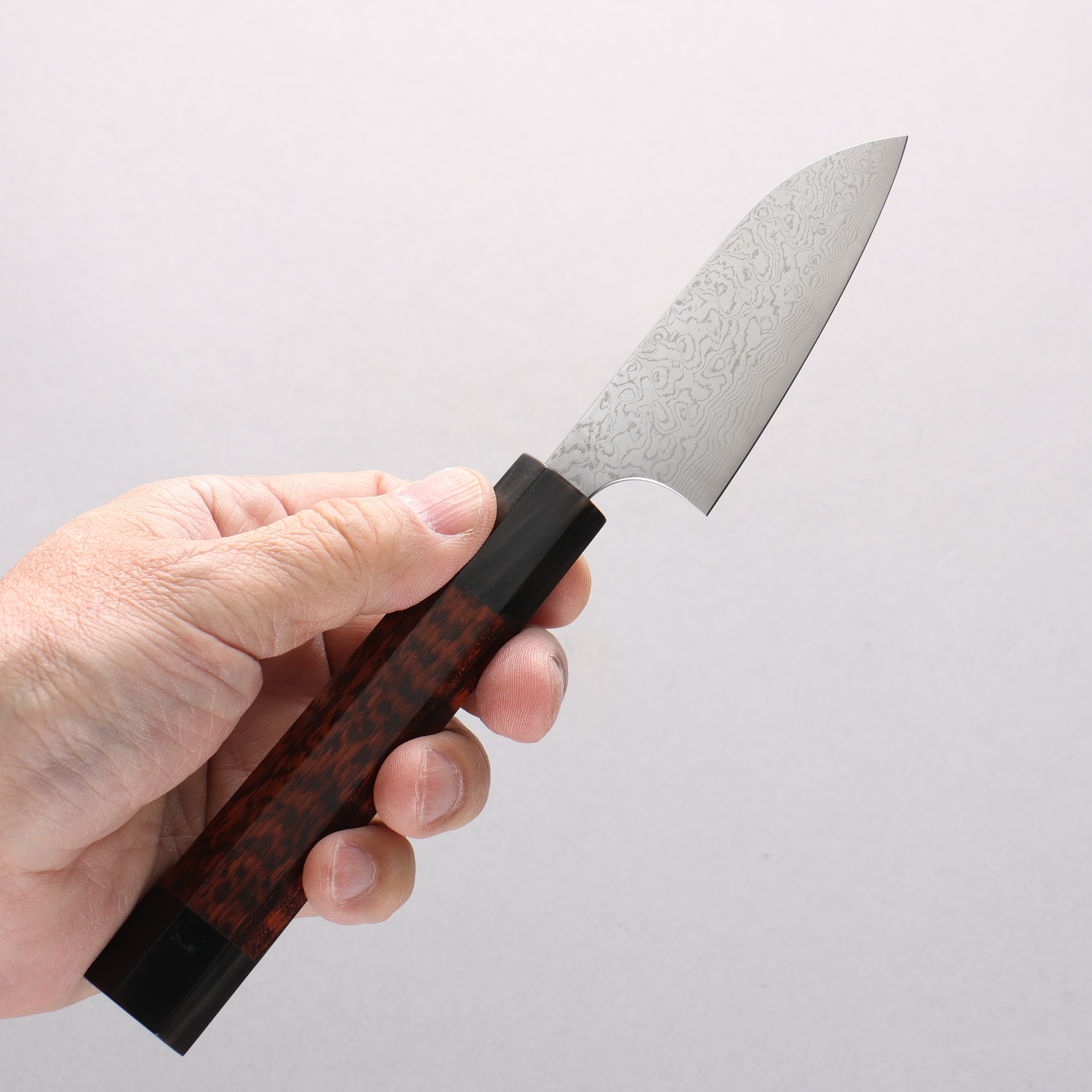 Anryu VG10 Migaki Finished Damascus Paring 75mm Snakewood (with Double Black Horns) Handle - Seisuke Knife
