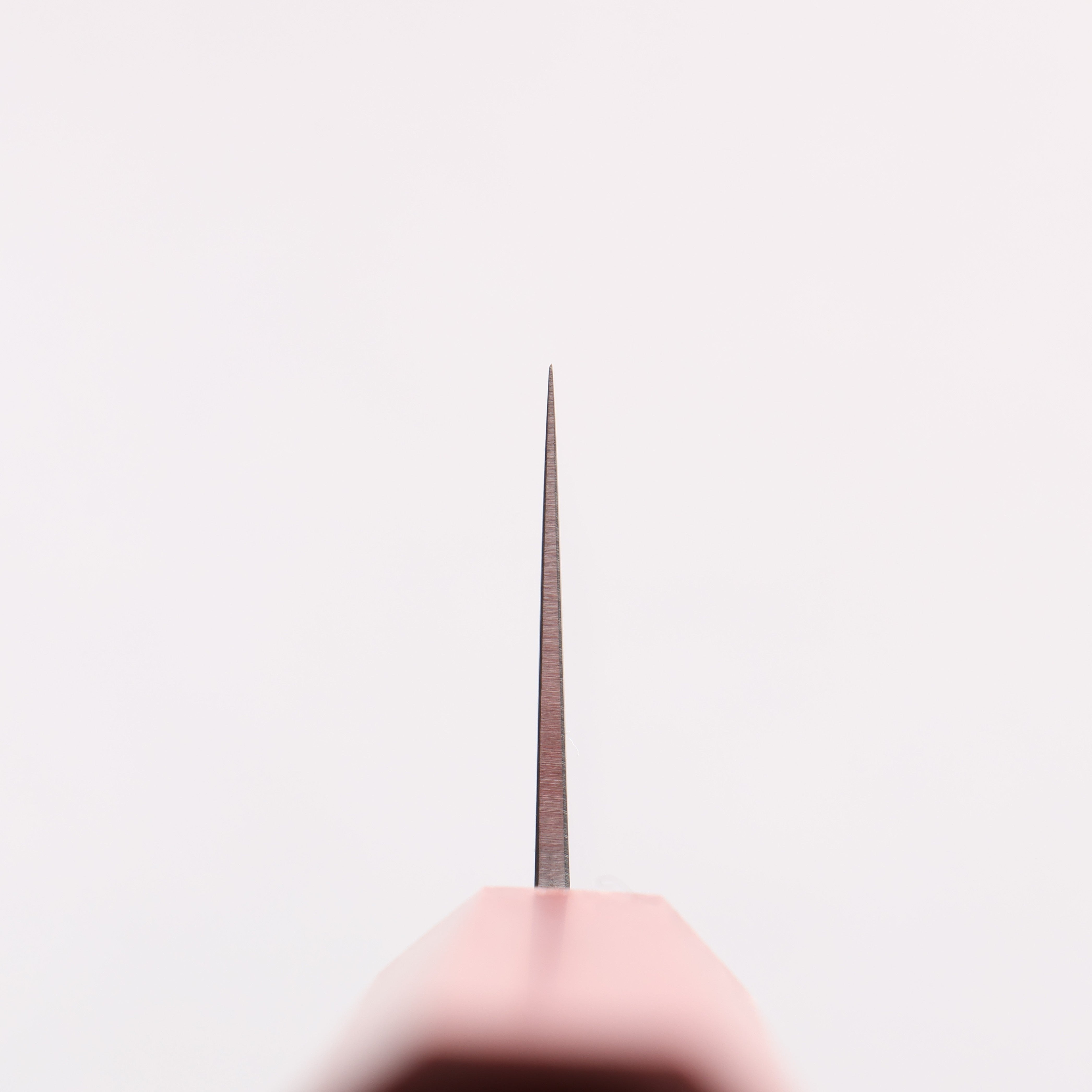 Seisuke Blue Steel No.2 Kiritsuke Gyuto 180mm Smokey Red Oak Handle - Seisuke Knife
