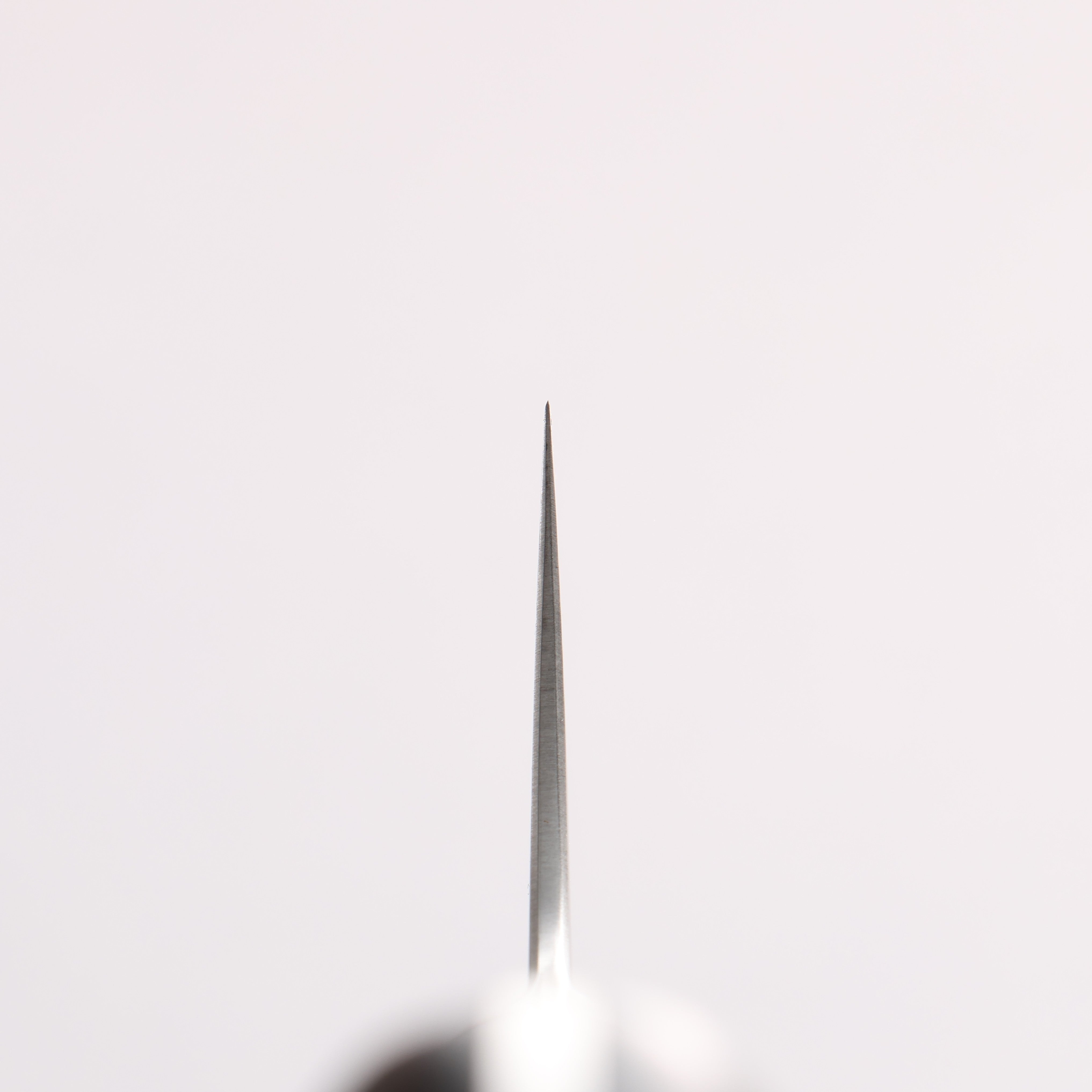 Kajin Blue Super Damascus Gyuto 210mm Mahogany Handle - Seisuke Knife