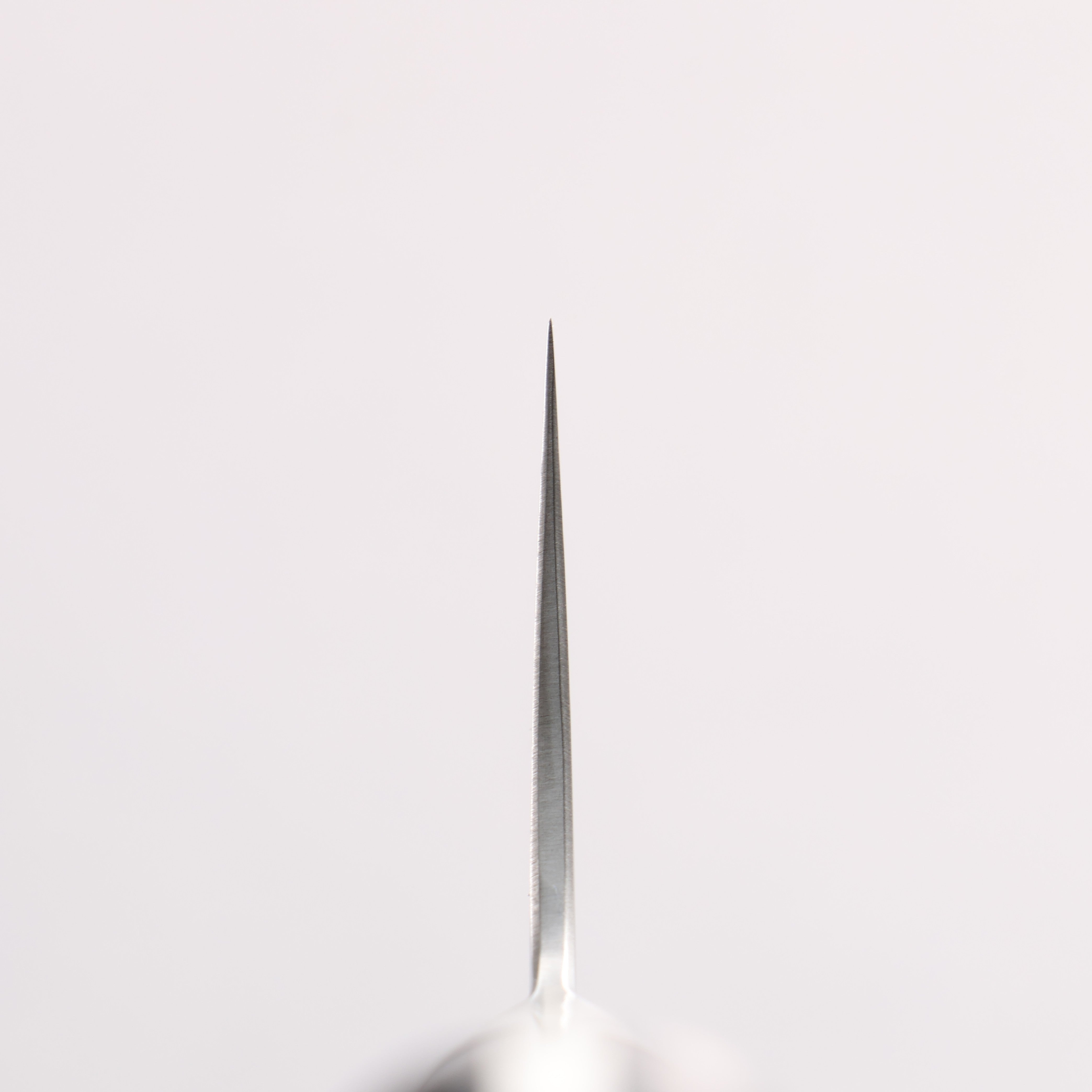 Kajin Blue Super Damascus Gyuto 240mm Mahogany Handle - Seisuke Knife