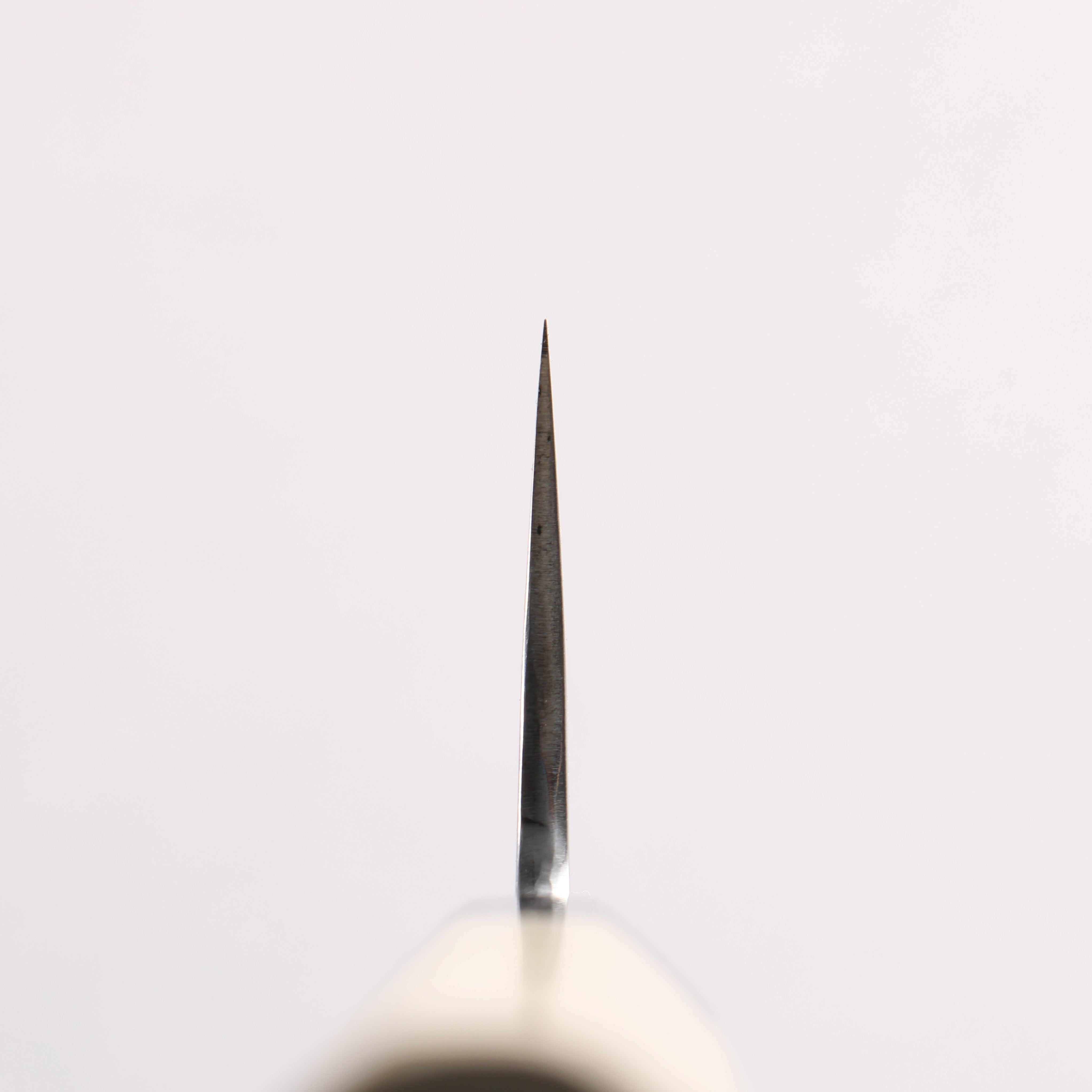 Sakai Kikumori White Steel No.1 Gyuto 240mm Magnolia & Water Buffalo Horn Handle - Seisuke Knife