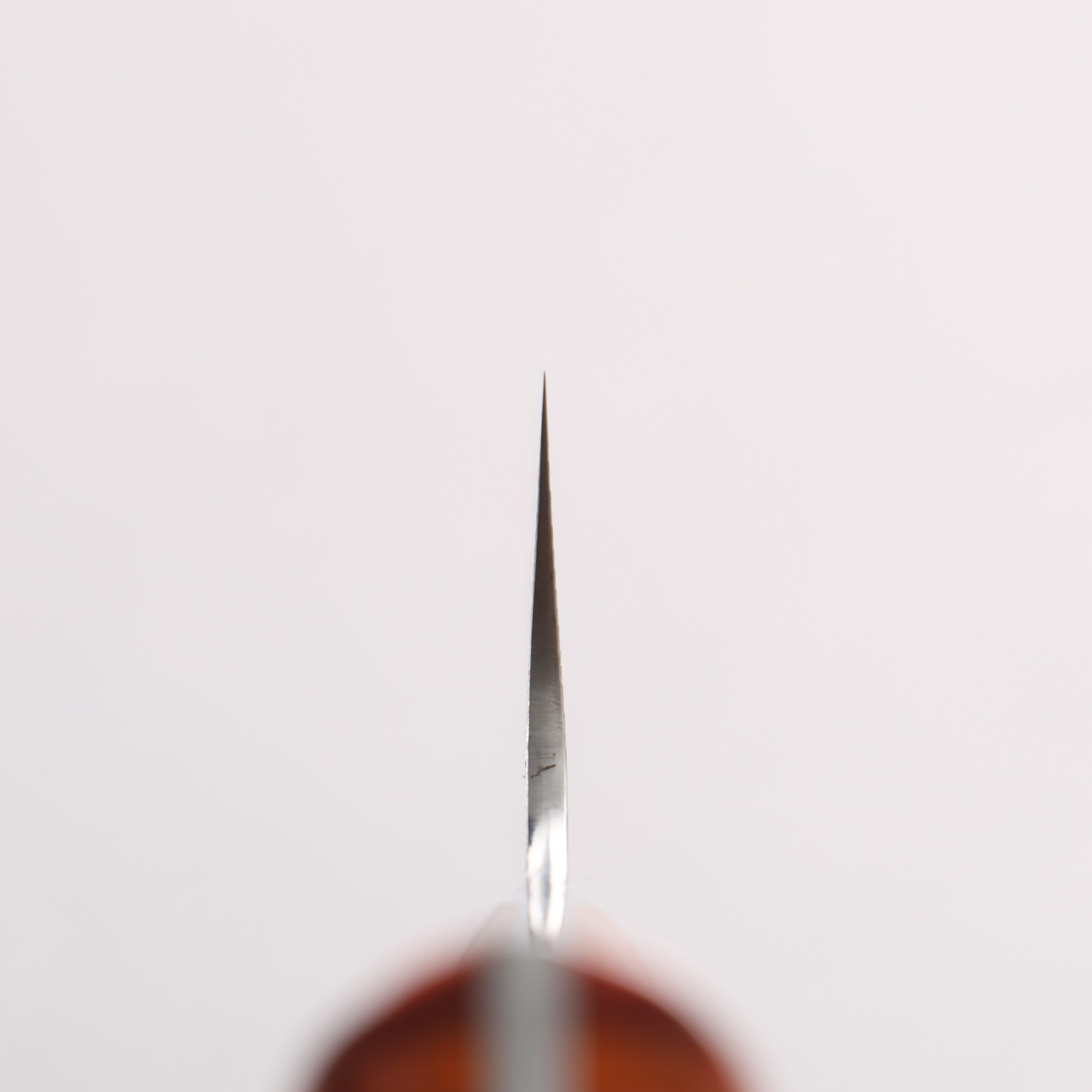 Takeshi Saji New Nomura Style SG2 Diamond Finish Damascus Gyuto 210mm Multi-Colored Combination Handle - Seisuke Knife