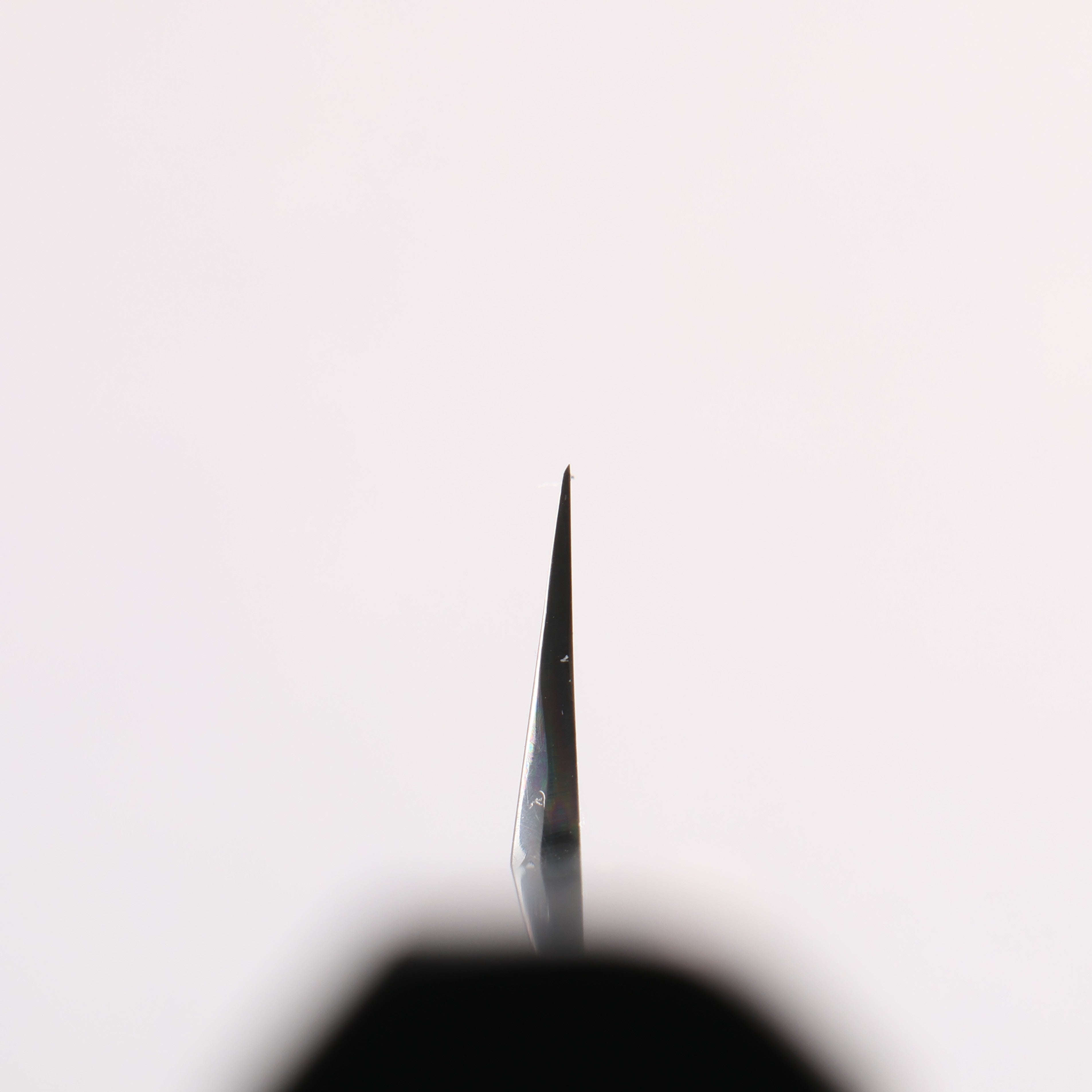 Tessen by Tanaka Tamahagane Mirrored Finish Kiritsuke Yanagiba 270mm Ebony Wood Handle with Sheath - Seisuke Knife