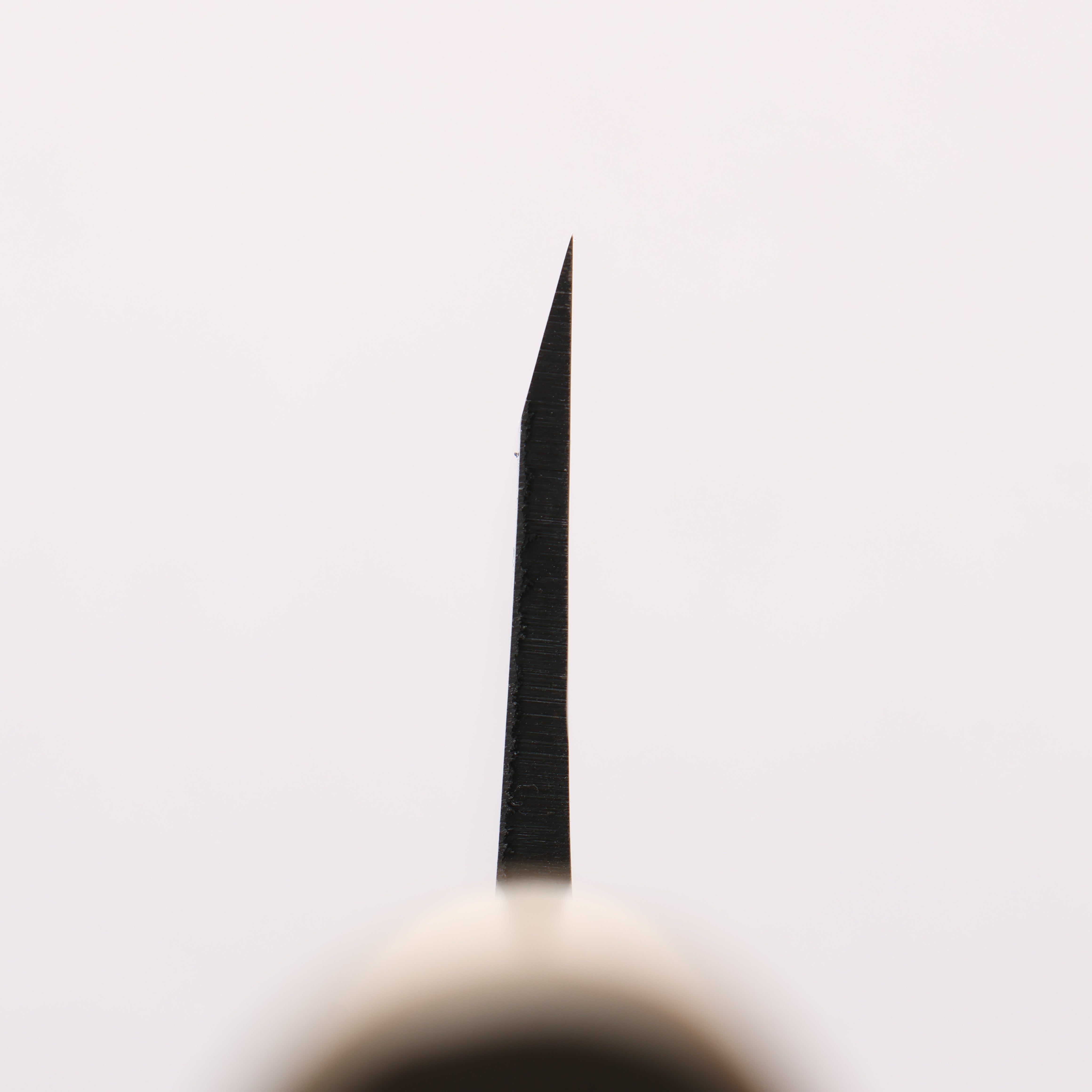 Nakaniida White Steel No.2 Migaki Polish Finish Deba 165mm Magnolia Handle - Seisuke Knife