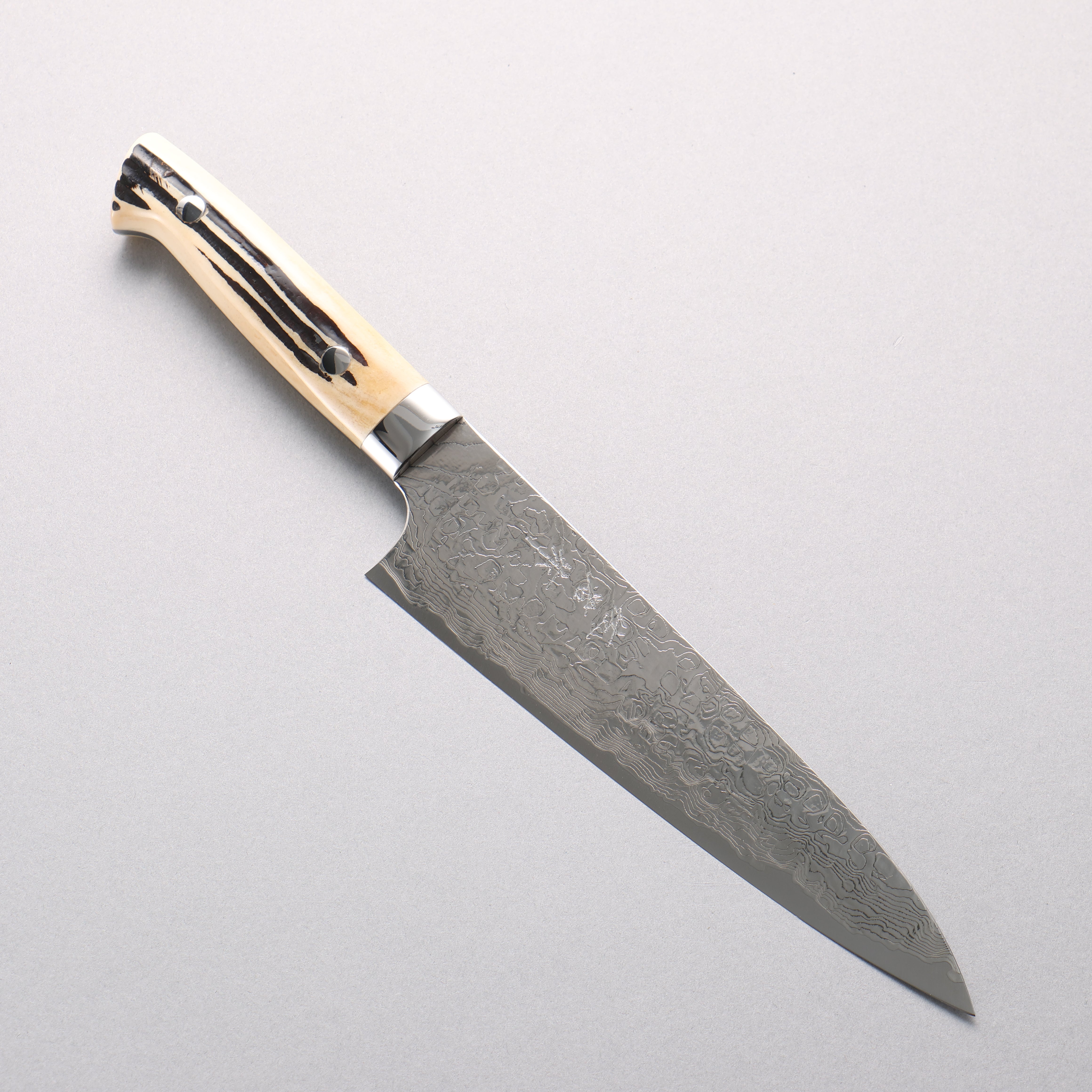 Takeshi Saji SG2 Diamond Finish Damascus Gyuto 180mm White Deer Horn Handle - Seisuke Knife