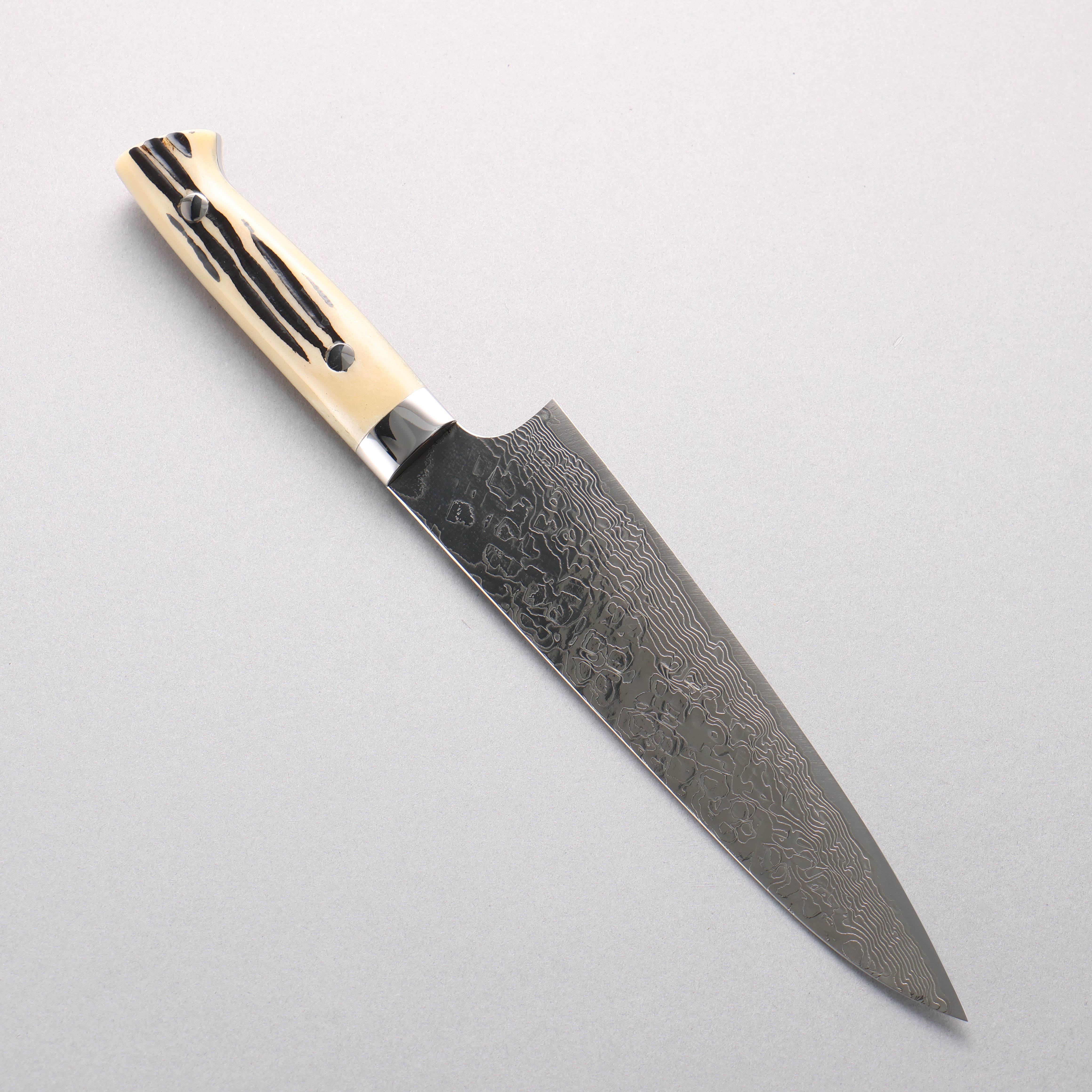 Takeshi Saji SG2 Diamond Finish Damascus Gyuto 180mm White Deer Horn Handle - Seisuke Knife