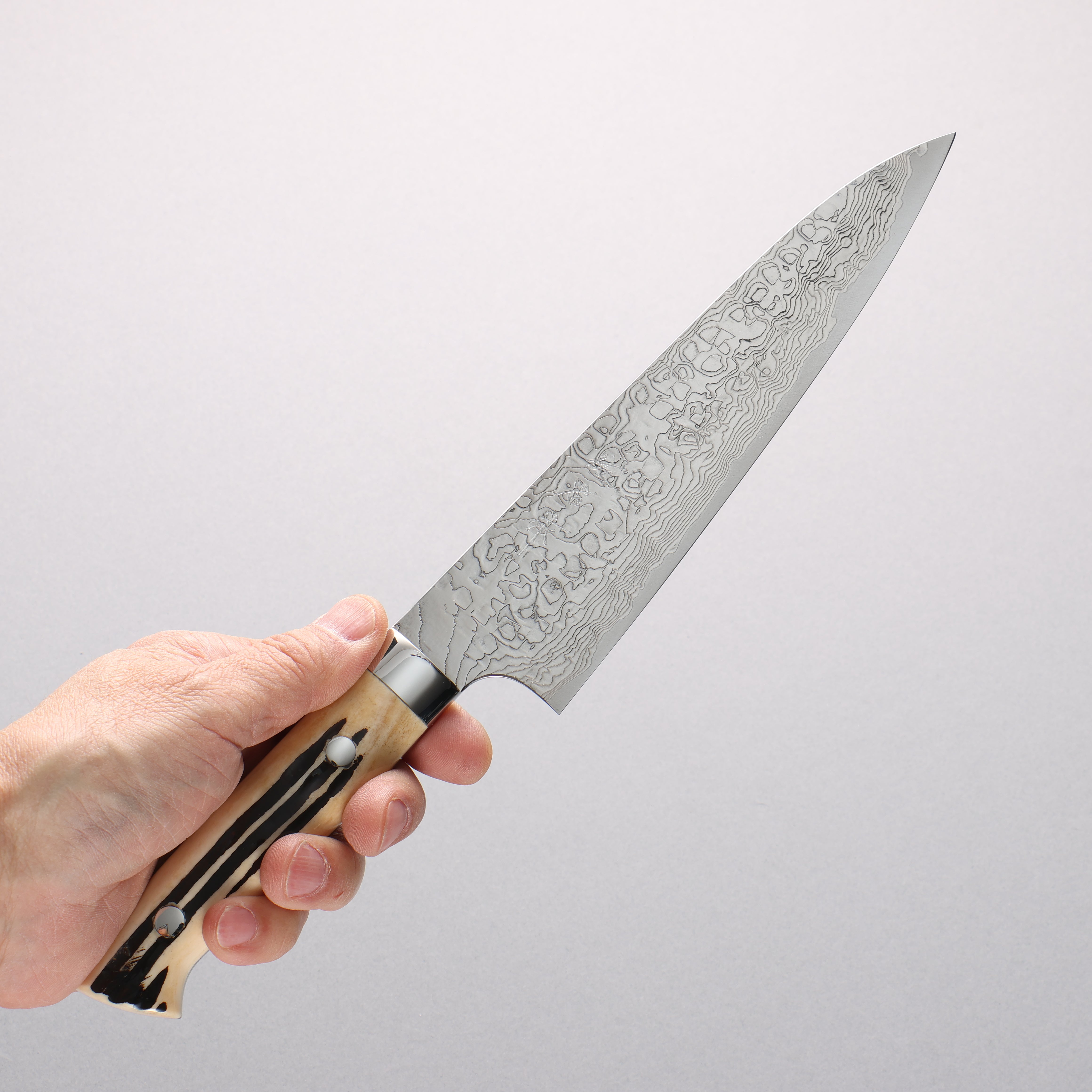 Takeshi Saji SG2 Diamond Finish Damascus Gyuto 180mm White Deer Horn Handle - Seisuke Knife