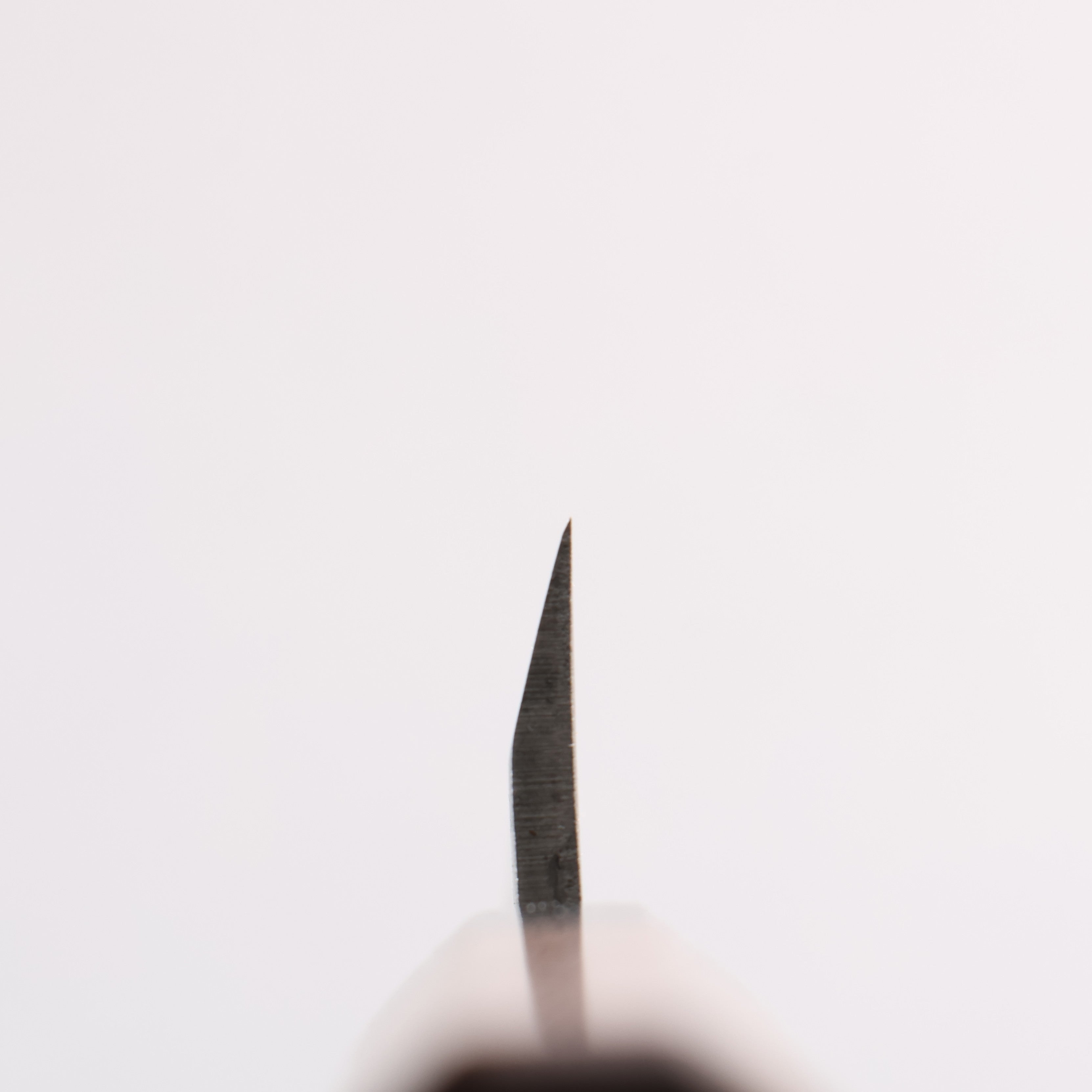 Seisuke Silver Steel No.3 Maru Hammered Petty-Utility 150mm Walnut Handle - Seisuke Knife