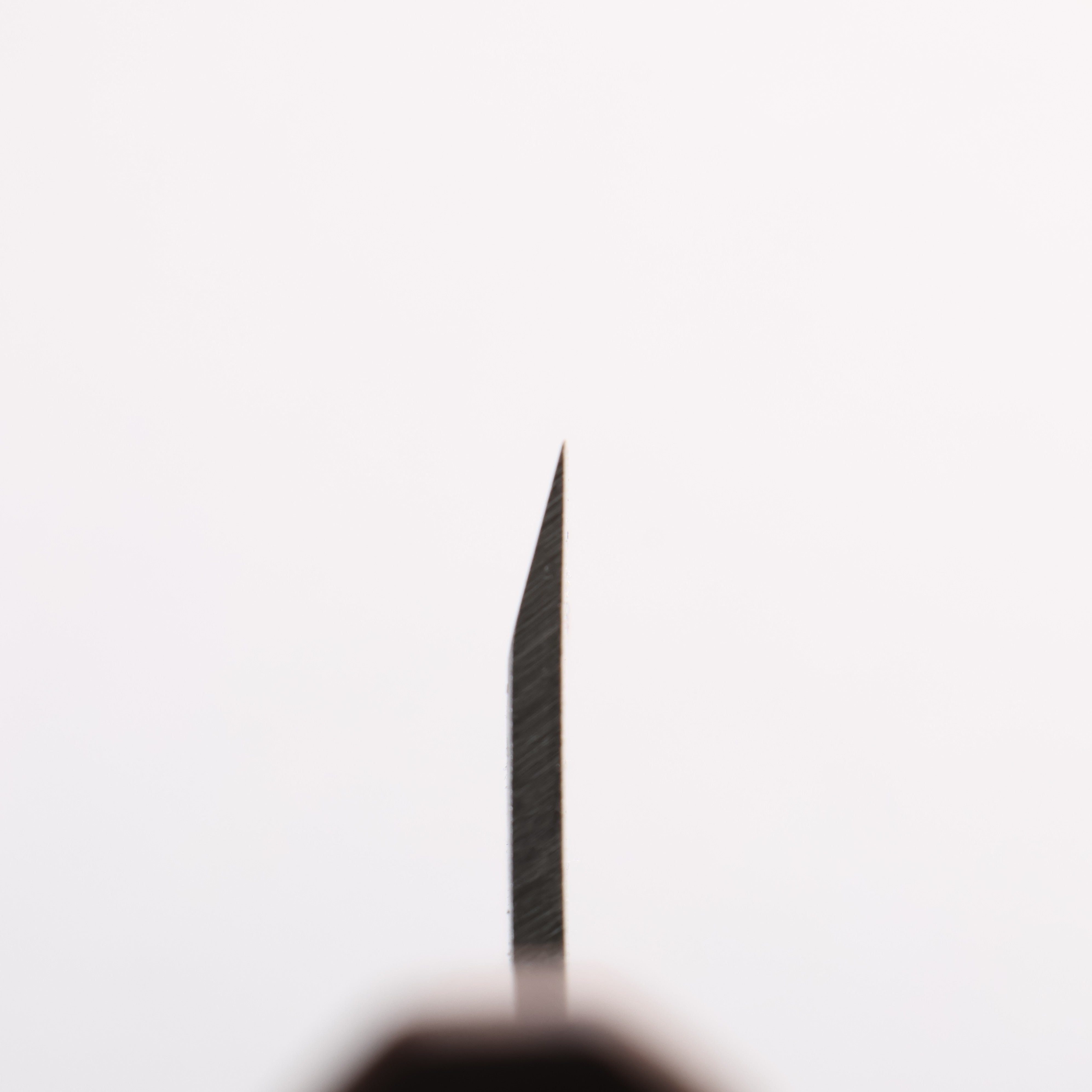 Seisuke Silver Steel No.3 Maru Hammered Ajikiri 120mm Walnut Handle - Seisuke Knife