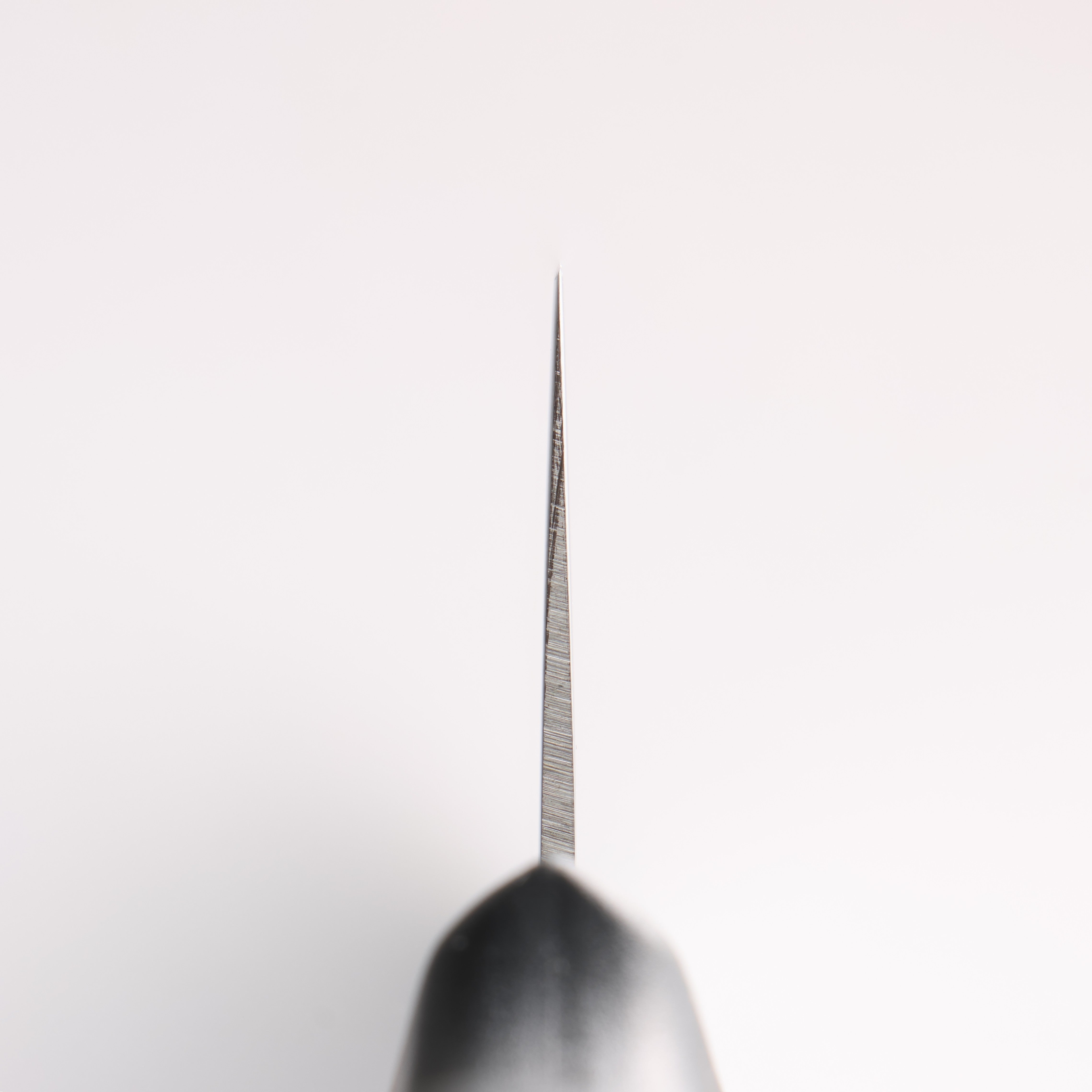 Sakai Takayuki INOX Stainless Steel Multi Purpose 320mm with Plastic Handle - Seisuke Knife