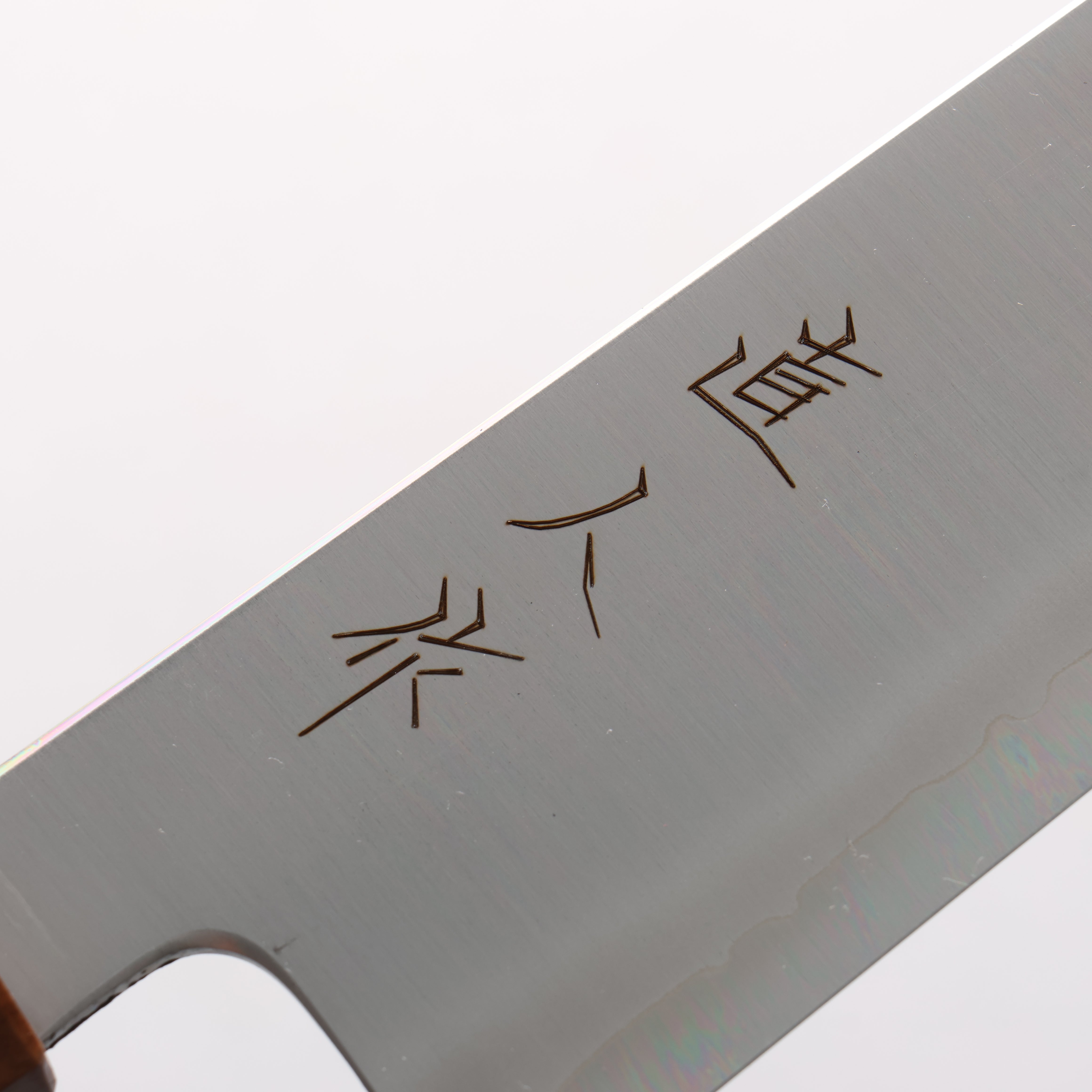 Naohito Myojin Cobalt Special Steel Gyuto 240mm Cherry Wood & Pink Ring Handle - Seisuke Knife