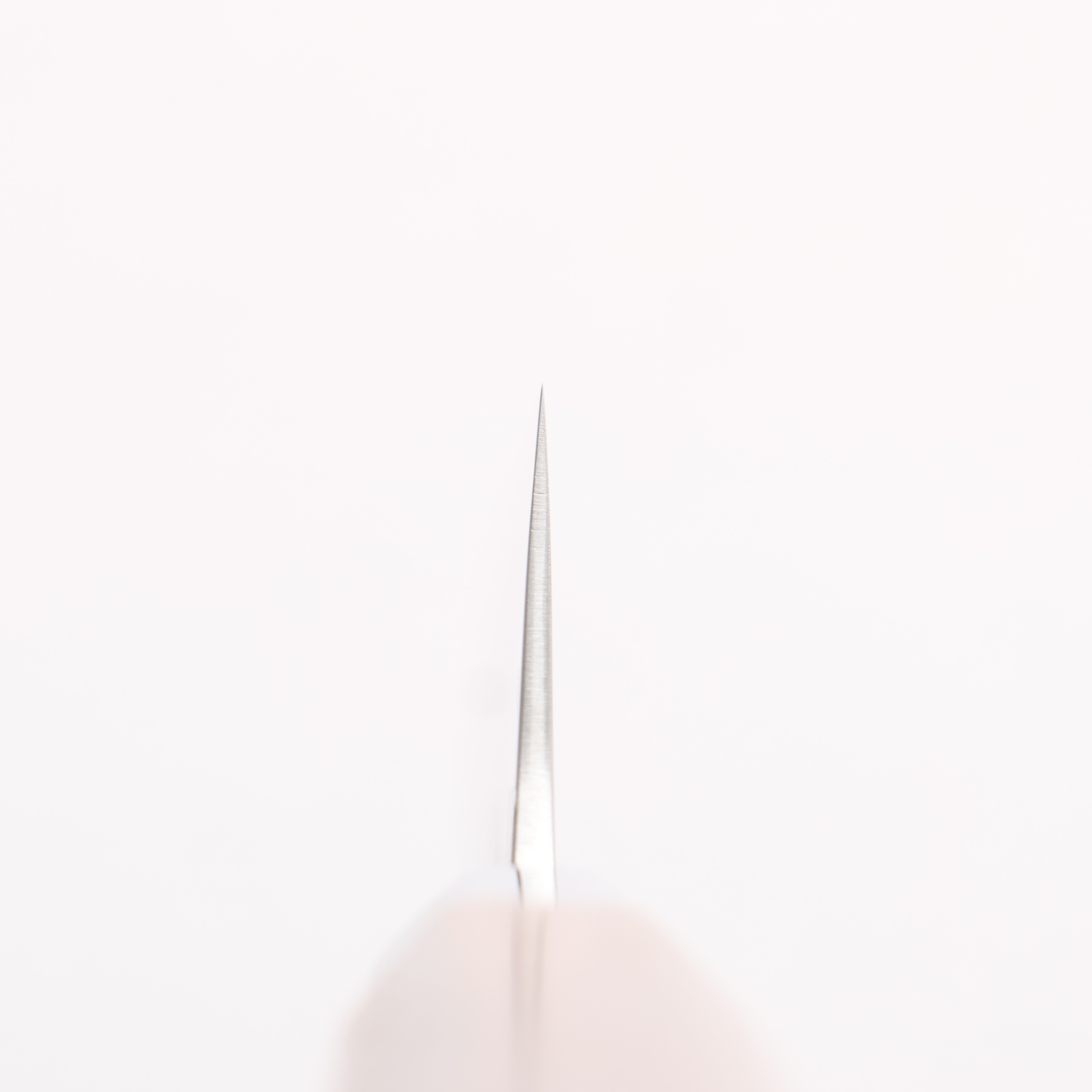 Kurotori Silver Steel No.3 Migaki Fuuka Petty-Utility 150mm Walnut Handle - Seisuke Knife