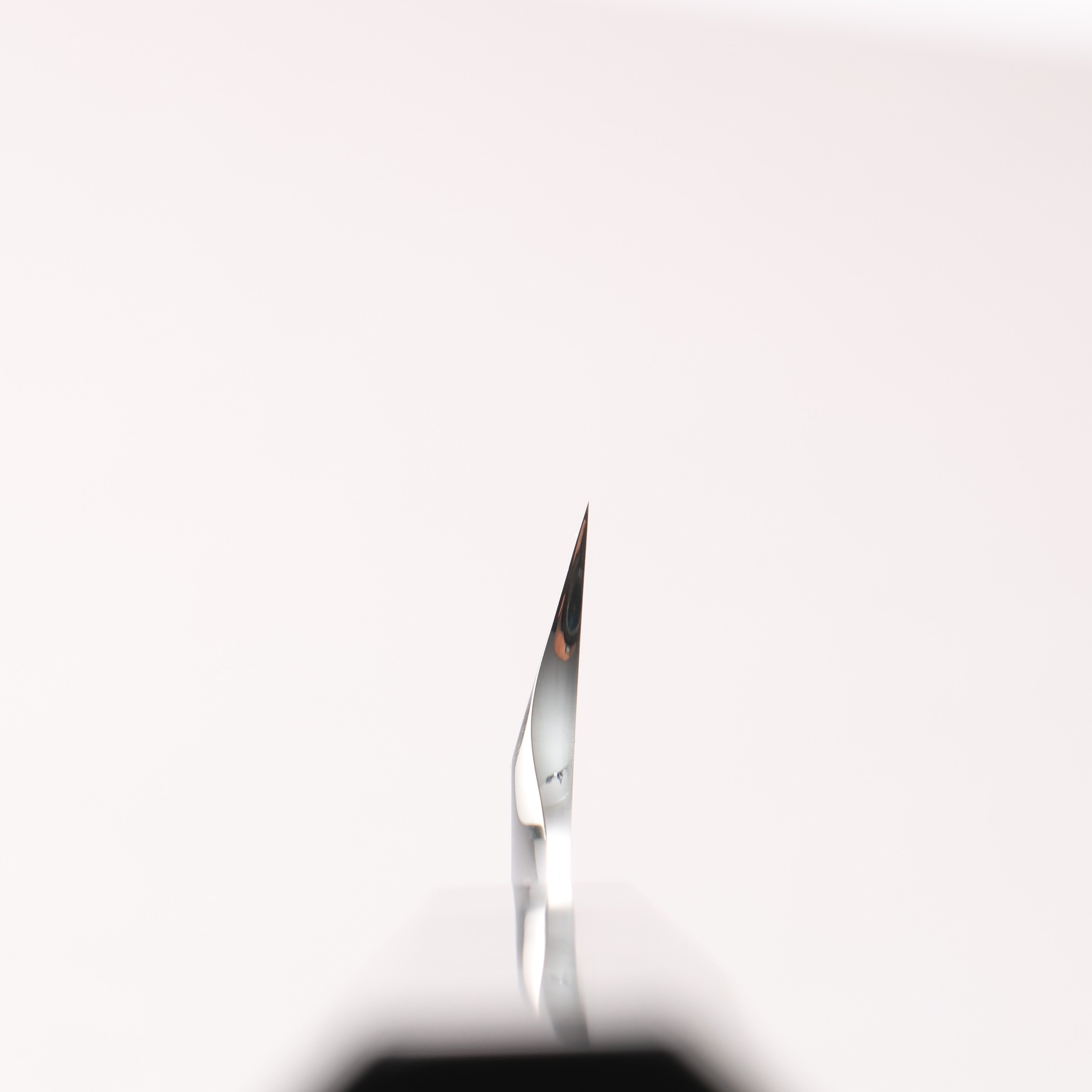 Yu Kurosaki SG2 Mirrored Finish Kiritsuke Yanagiba 240mm Ebony Wood (with 3 Silver Rings) Handle with Sheath - Seisuke Knife