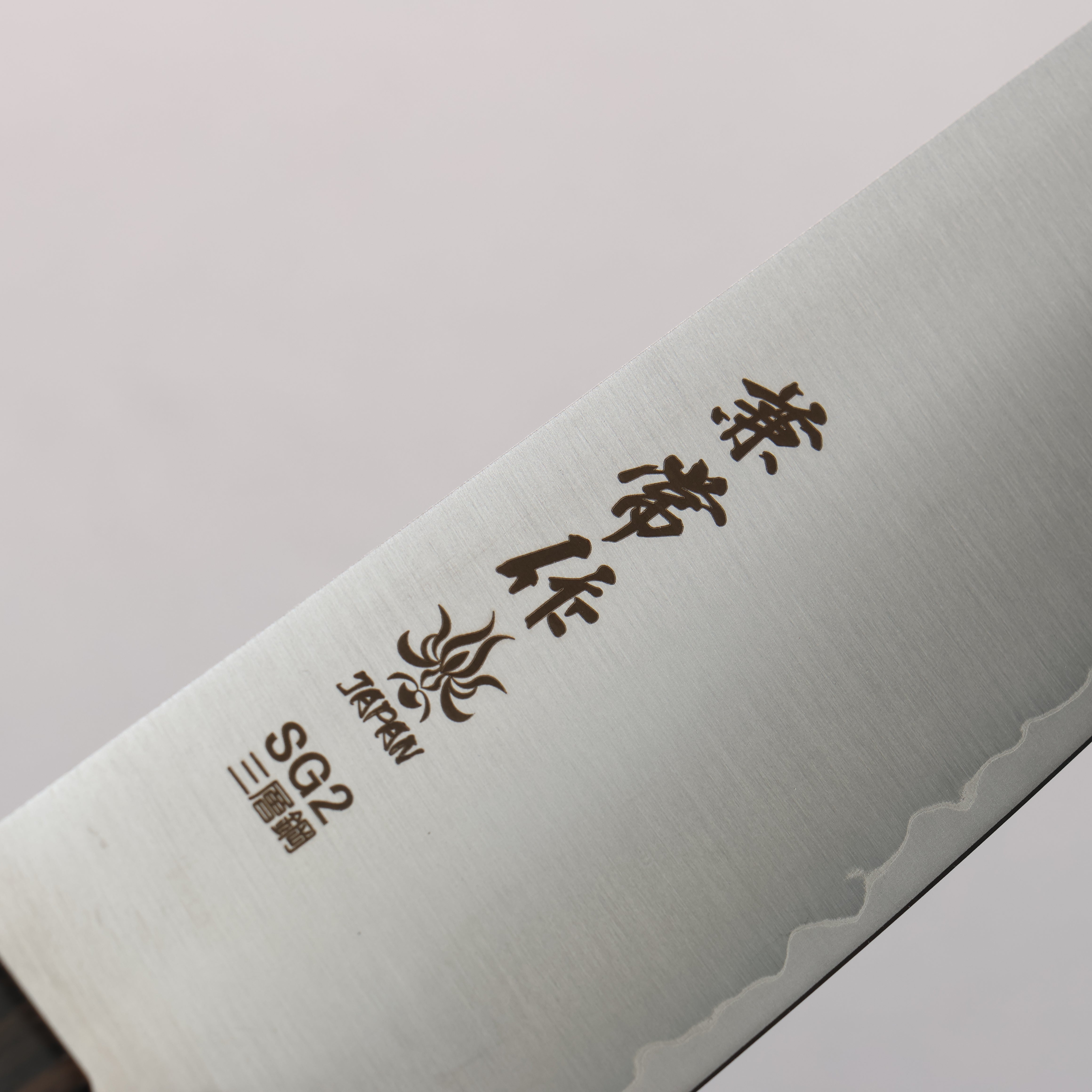 Kanetsune SG2 Gyuto 210mm Gray Pakka wood Handle - Seisuke Knife
