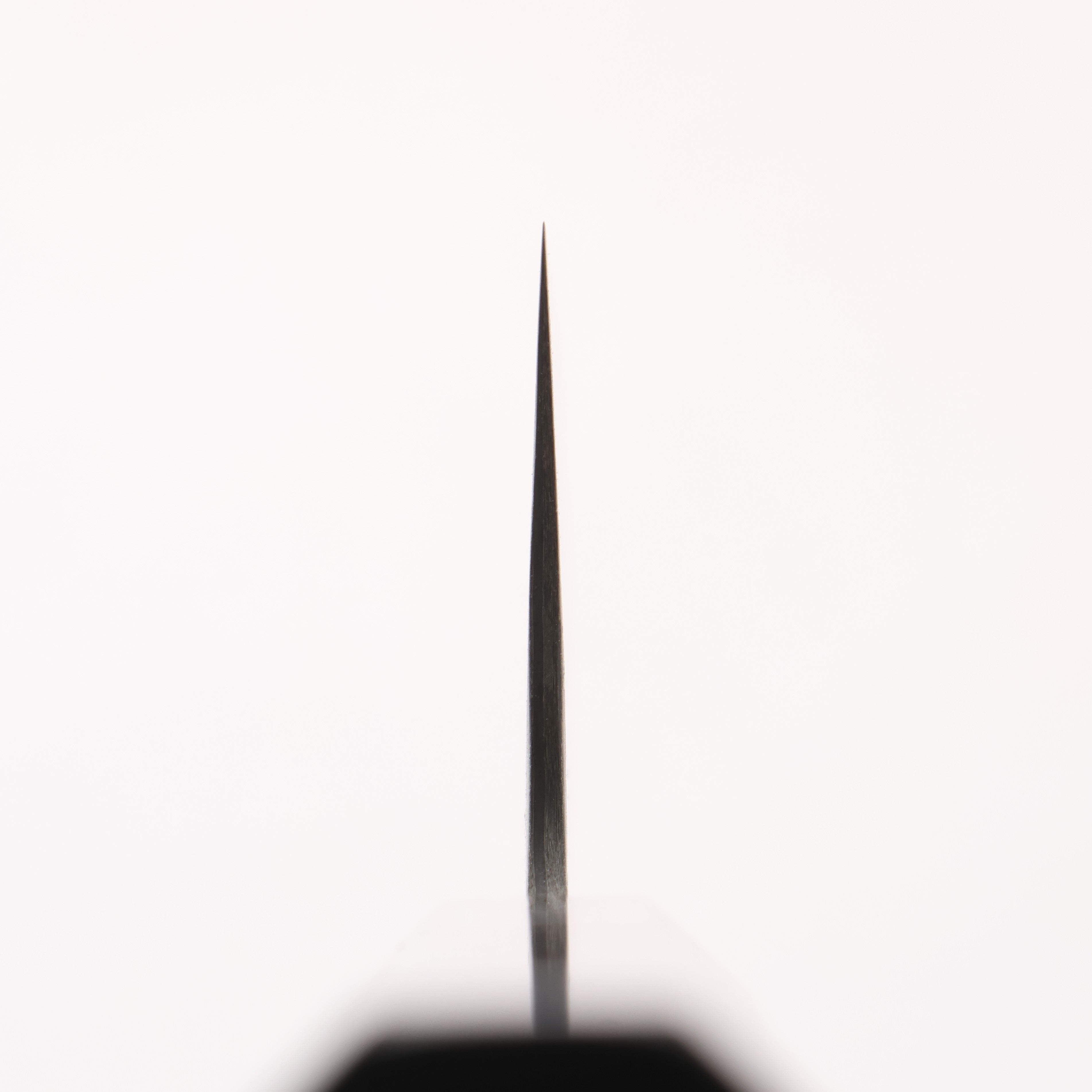 Takeshi Saji SG2 Black Damascus Santoku 180mm Ebony Wood & Silver Handle - Seisuke Knife
