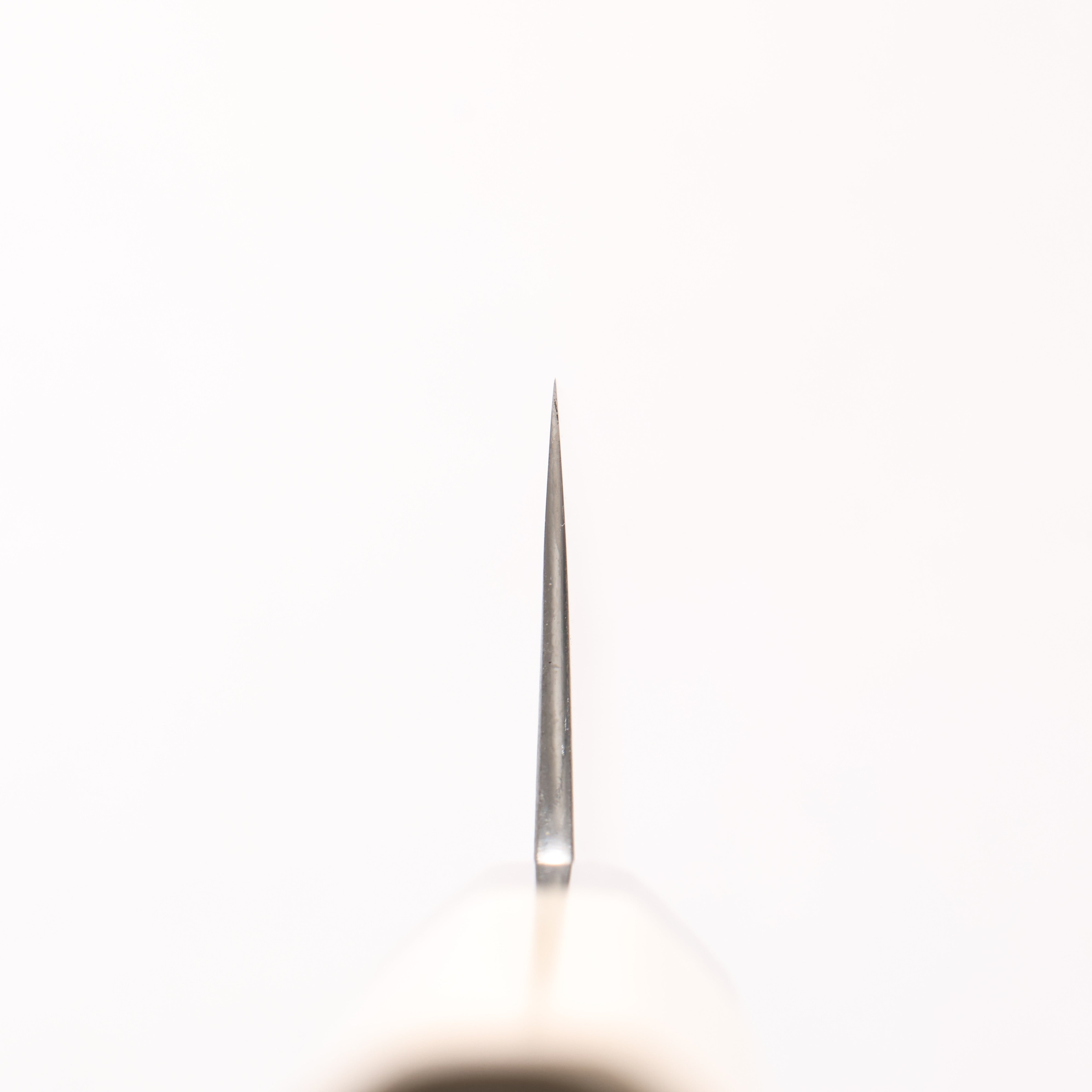 Kikuzuki Silver Steel No.3 Bokashi Kiritsuke Gyuto 240mm Magnolia Handle - Seisuke Knife