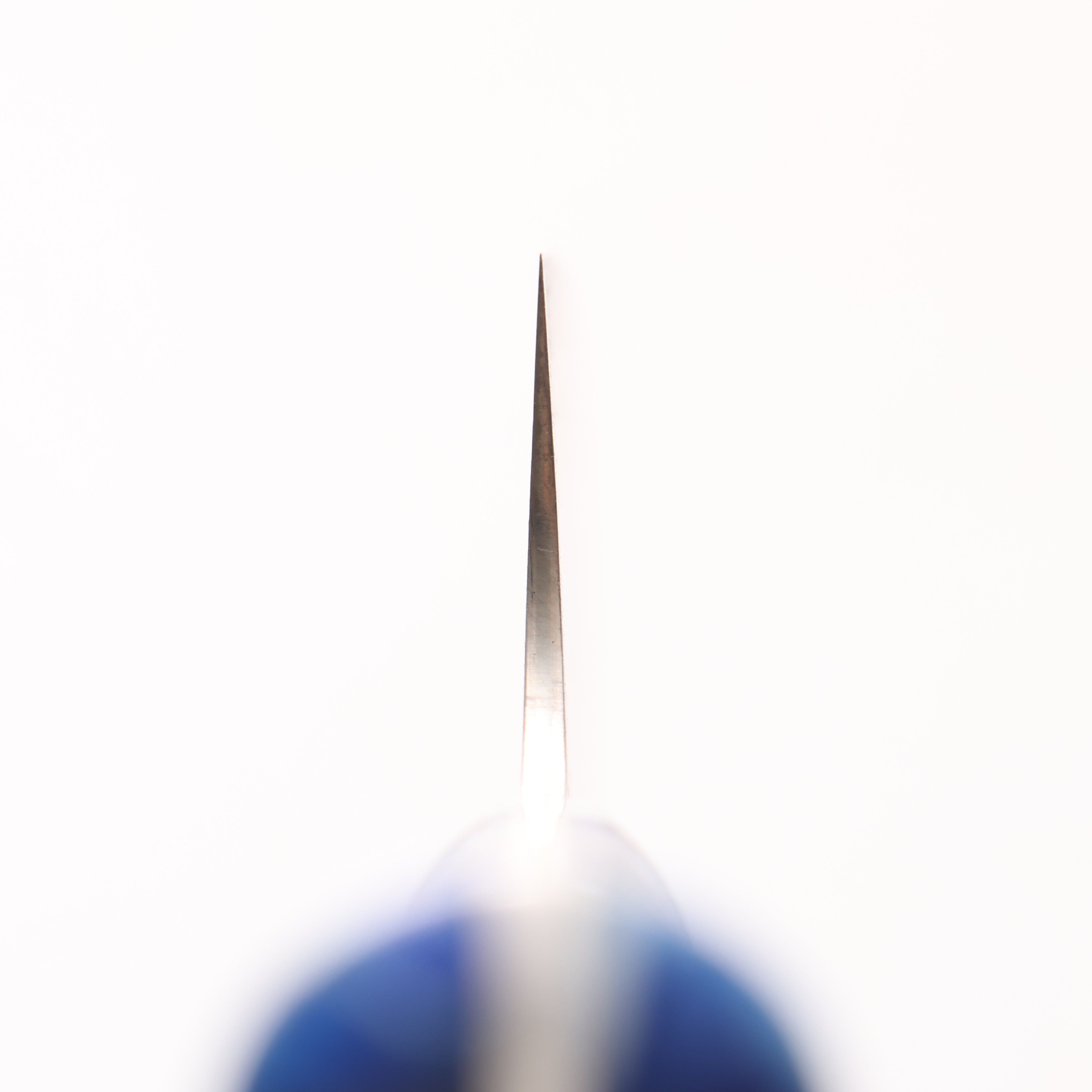 Takeshi Saji VG10w Colored Damascus Nashiji Gyuto 210mm Pine Cone and Blue Acrylic Handle - Seisuke Knife