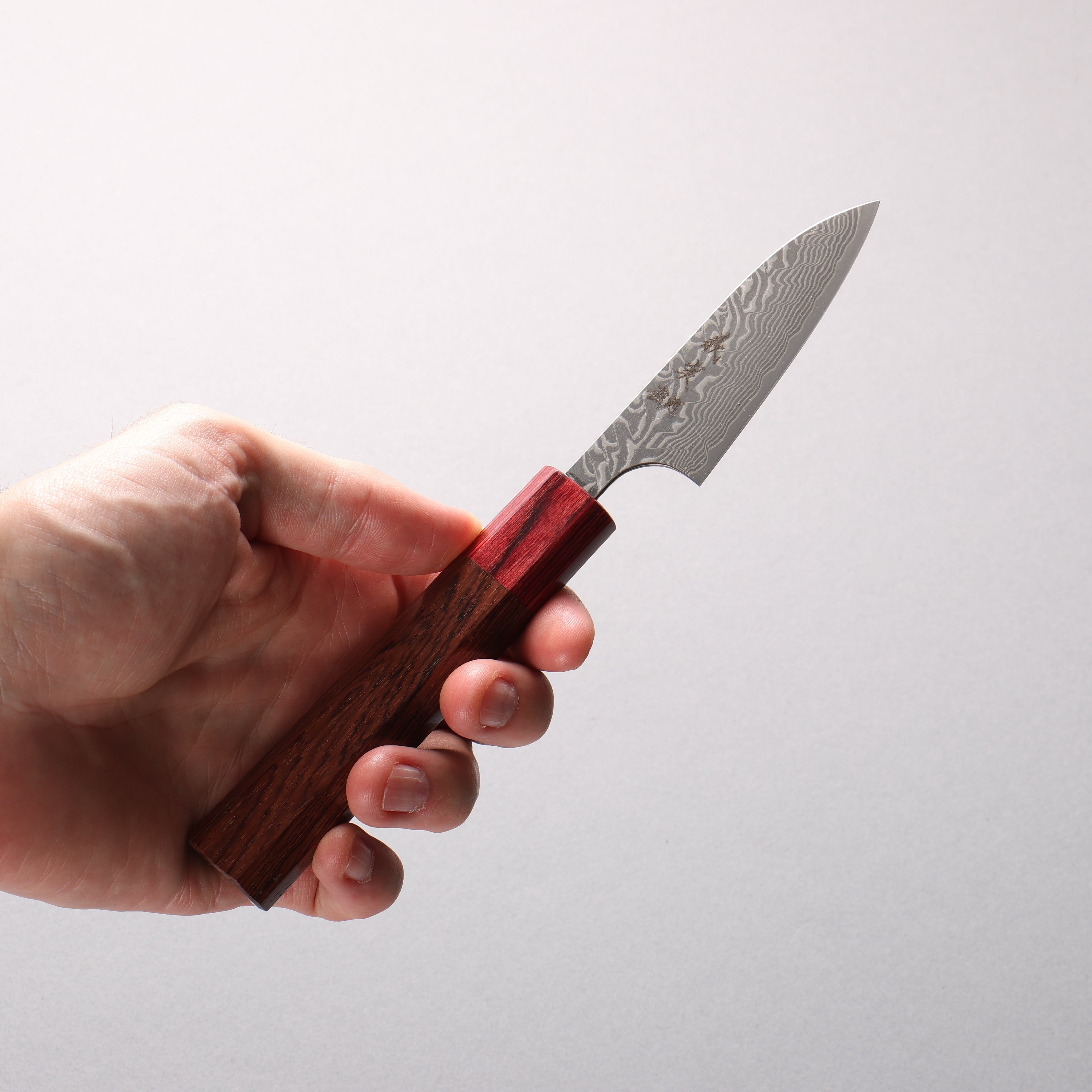 Yoshimi Kato SG2 Black Damascus Petty-Utility 80mm Honduras (ferrule: Red Pakka wood) Handle