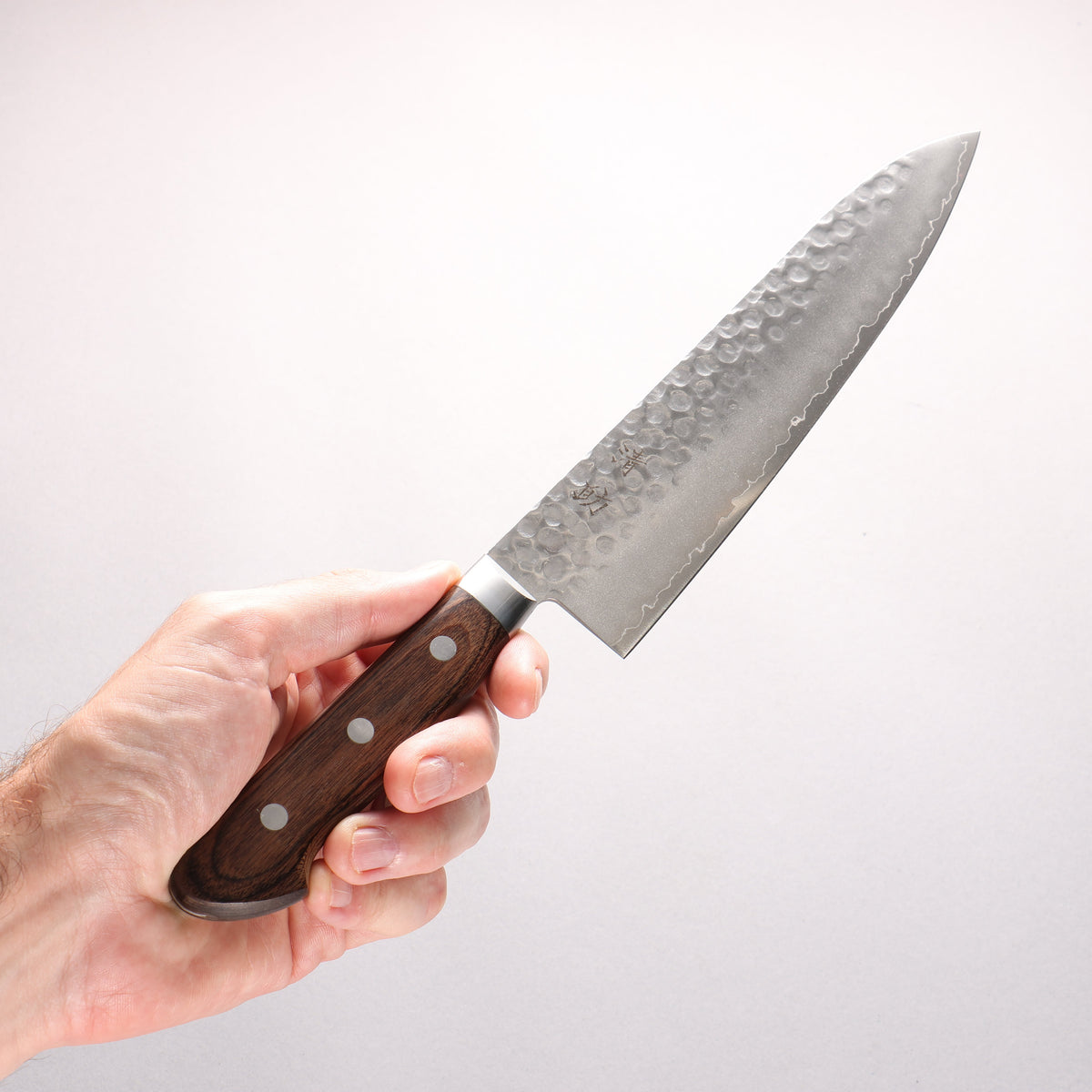 Seisuke VG10 Hammered Gyuto 210mm Zebrawood Handle - Seisuke Knife