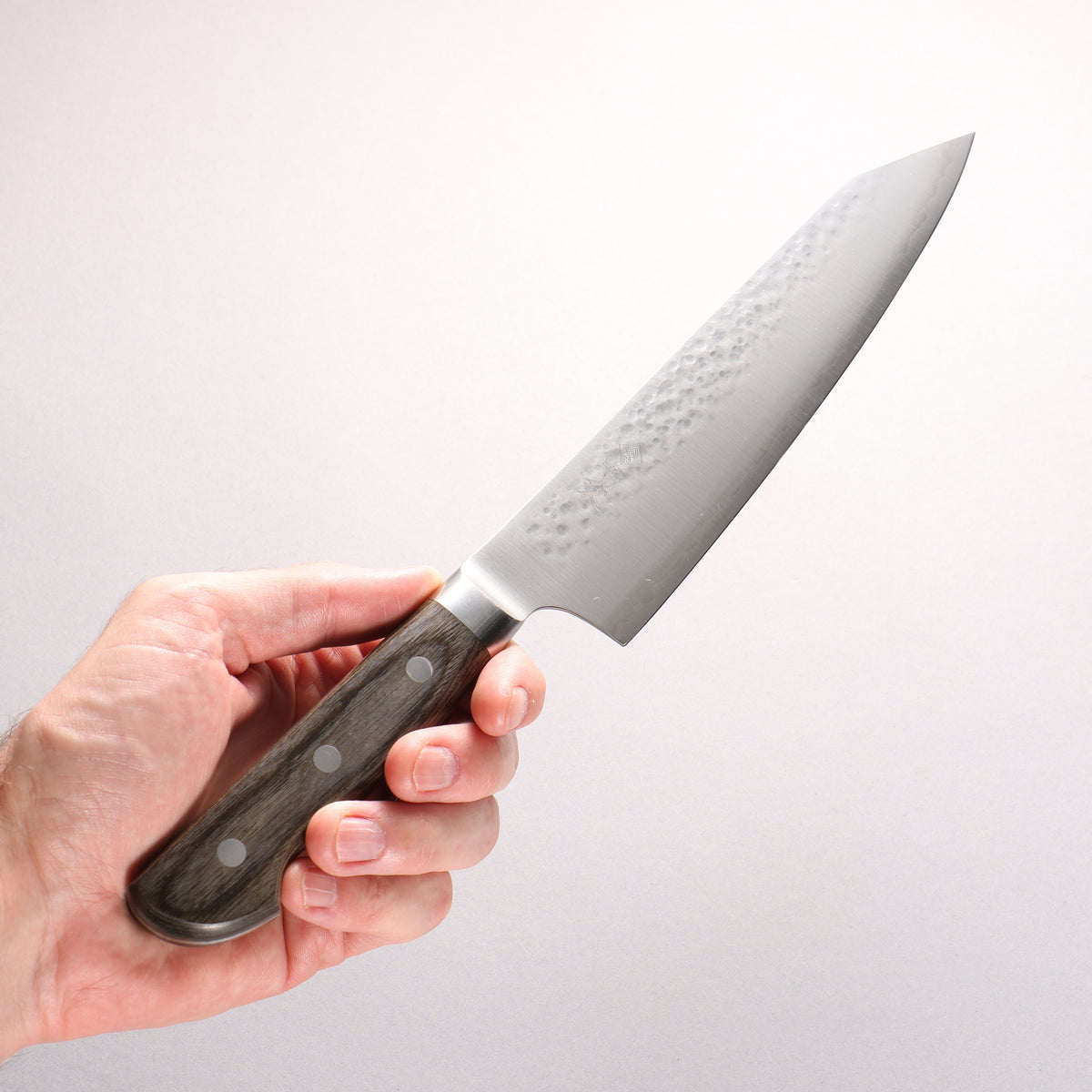 Kanjyo SG2 Hammered Kiritsuke Gyuto 210mm Gray Pakka wood Handle - Seisuke Knife