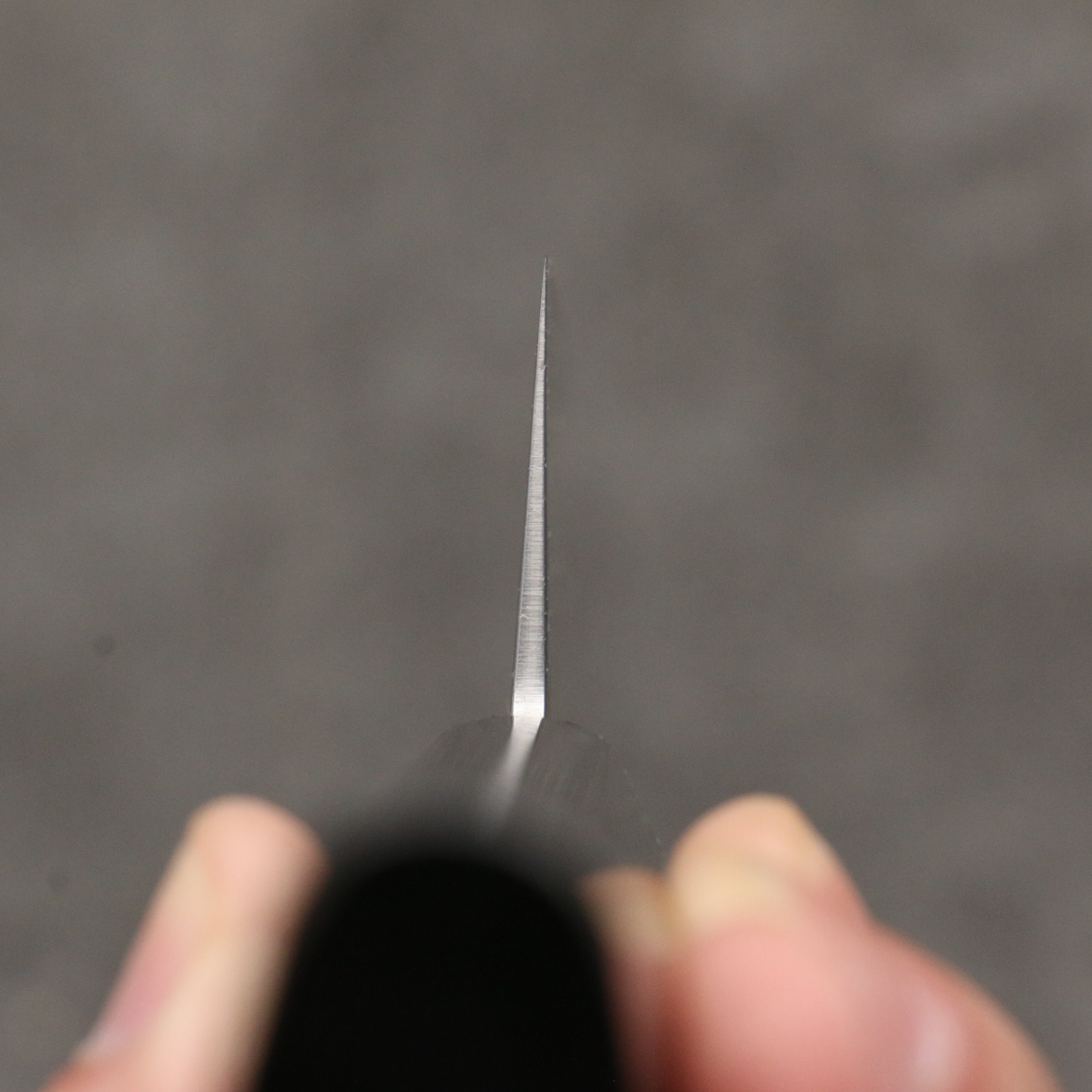 Sakai Takayuki VG10 Nashiji Gyuto 210mm Ebony Wood Handle - Seisuke Knife