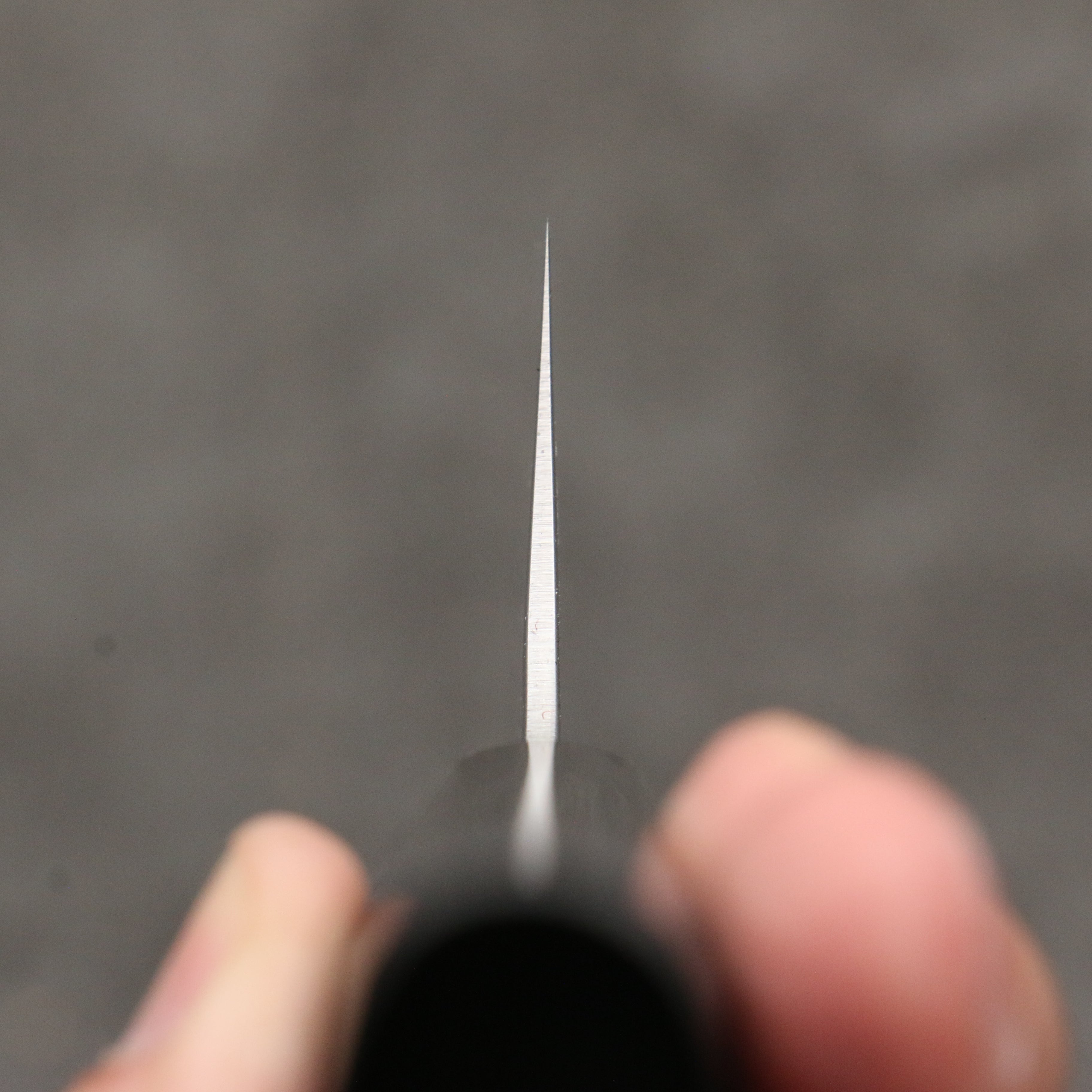 Sakai Takayuki VG10 Nashiji Kiritsuke Gyuto 190mm Ebony Wood Handle - Seisuke Knife