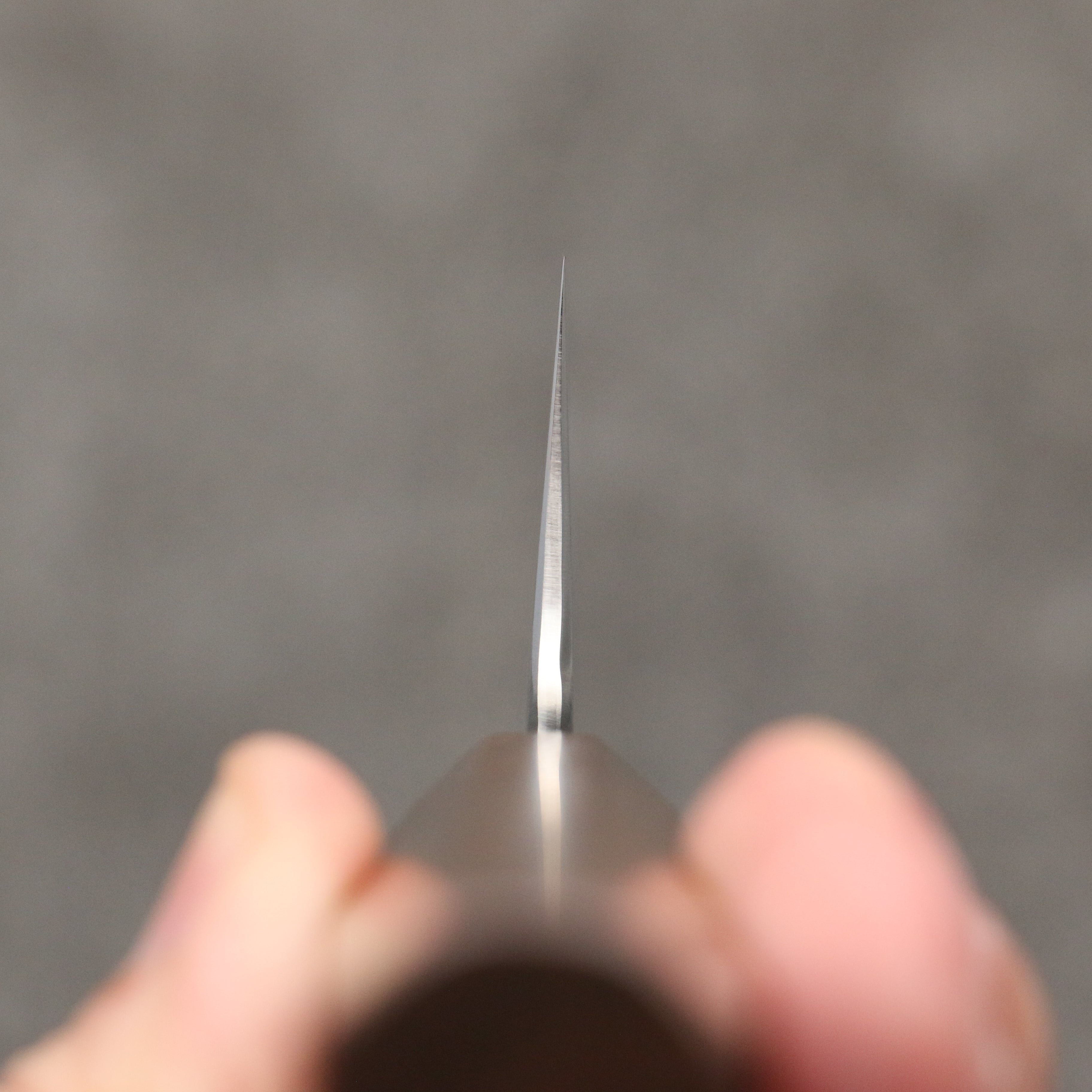 Ryusen Blazen Ryu Wa SG2 Hammered Gyuto 210mm Walnut Handle - Seisuke Knife