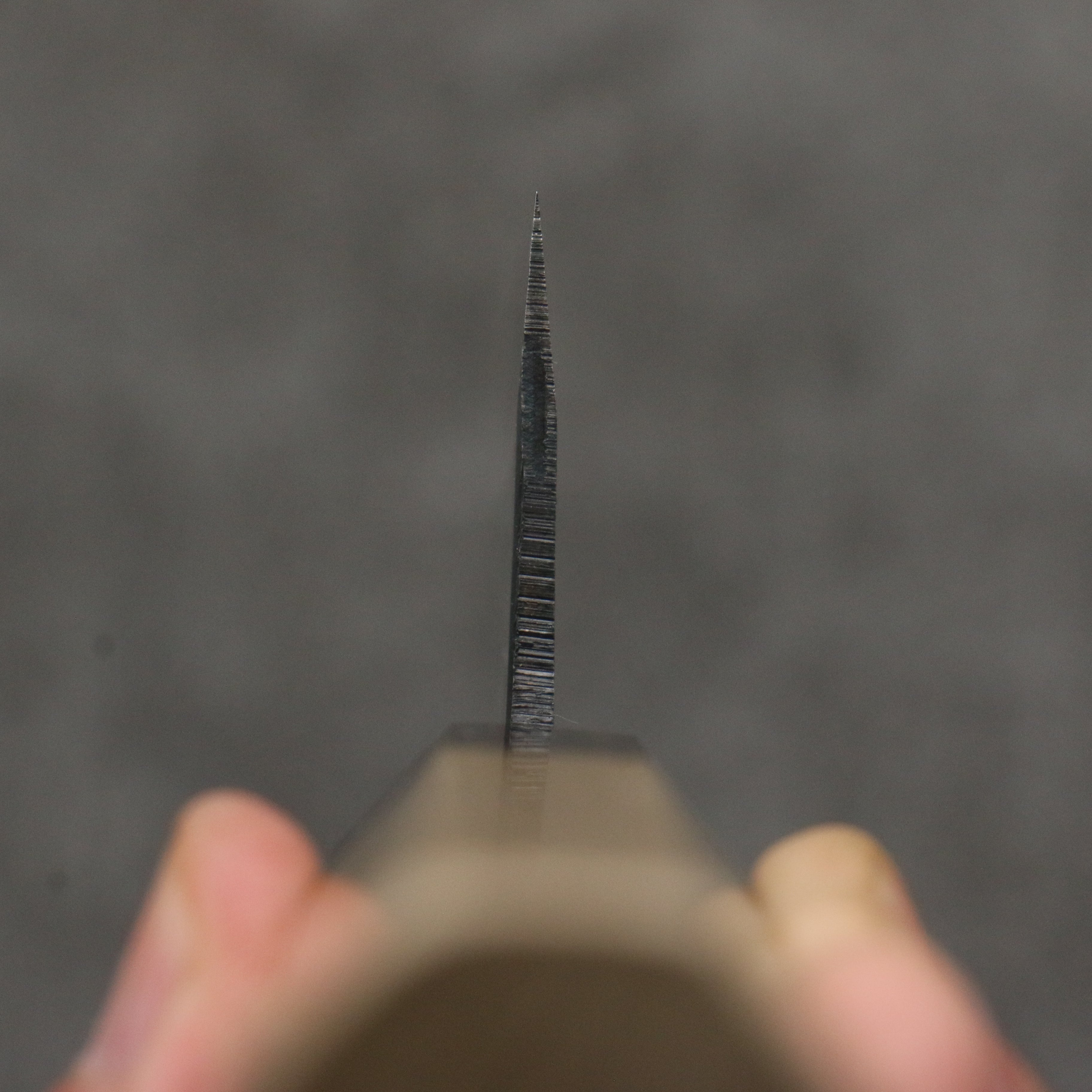 Seisuke Blue Super Black Finished Gyuto 210mm Magnolia (Ferrule: Ebony) Handle - Seisuke Knife