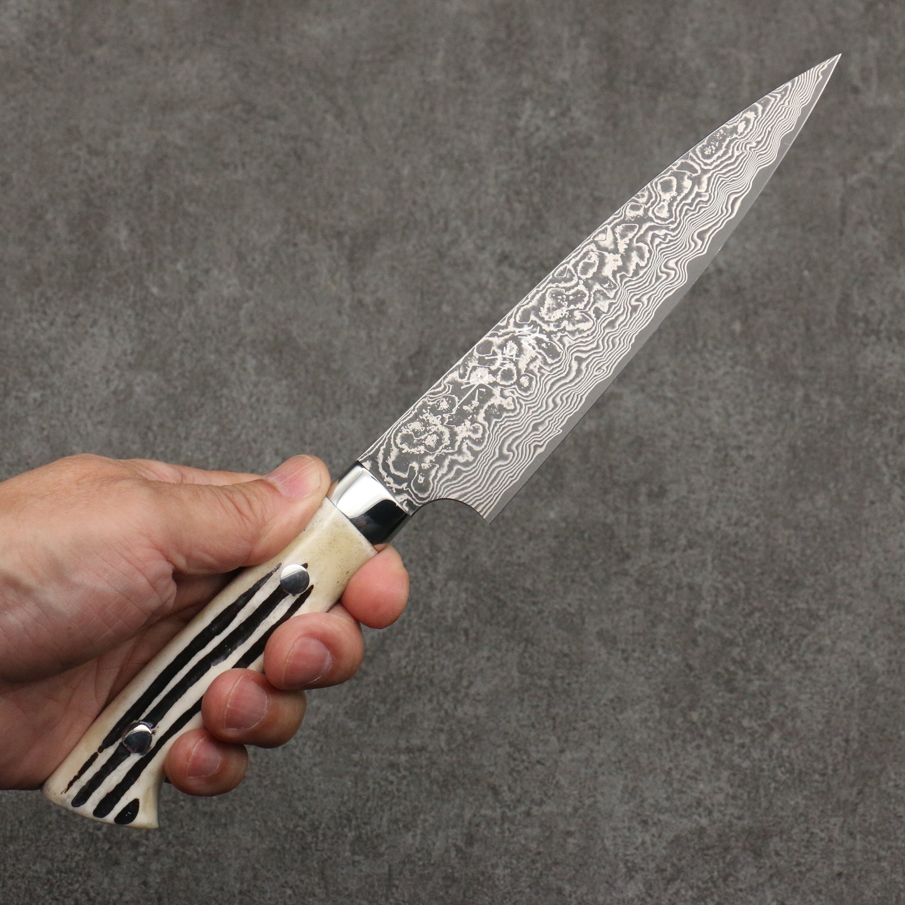 Takeshi Saji SG2 Black Damascus Petty-Utility 150mm White Deer Horn Handle - Seisuke Knife