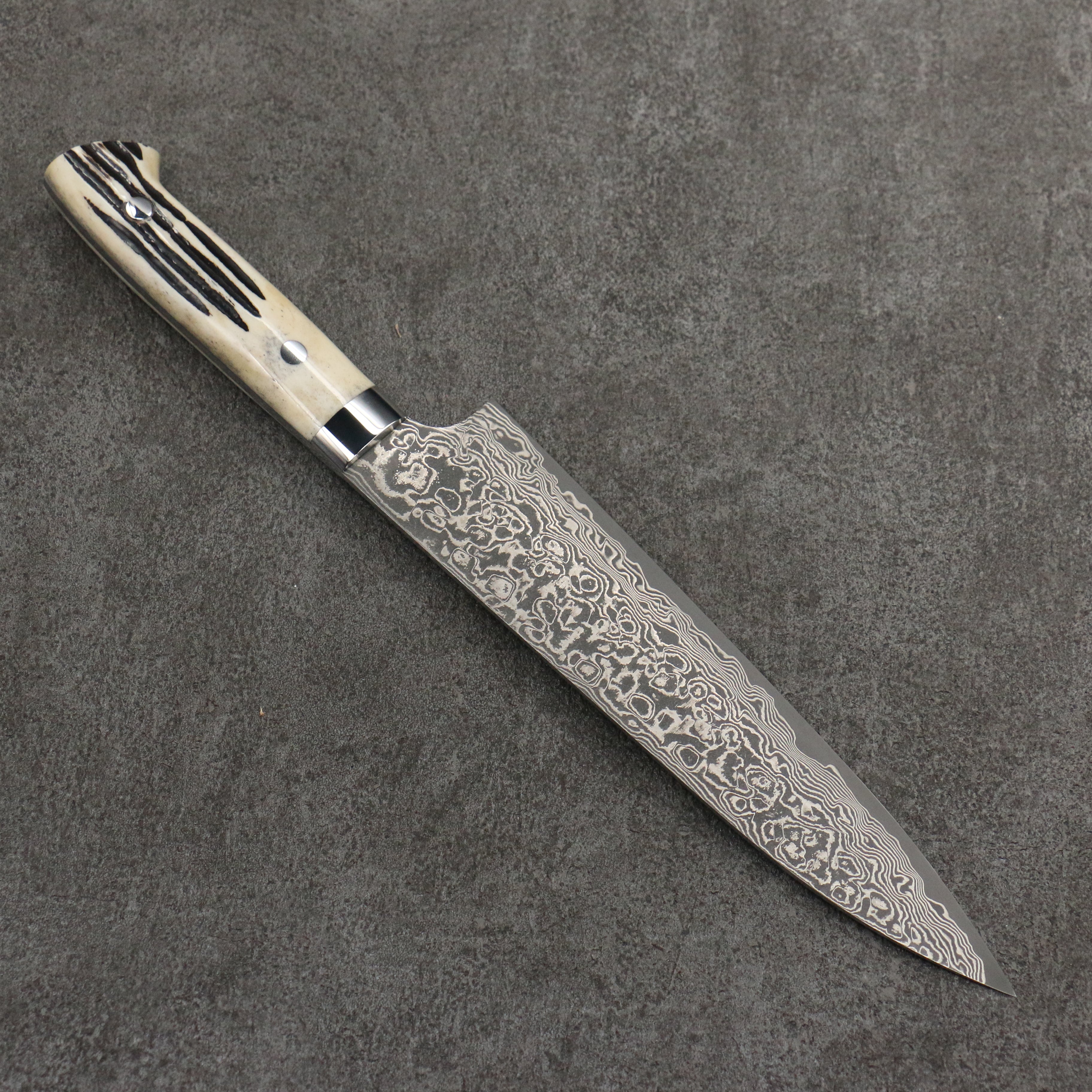 Takeshi Saji SG2 Black Damascus Gyuto 210mm White Deer Horn Handle - Seisuke Knife