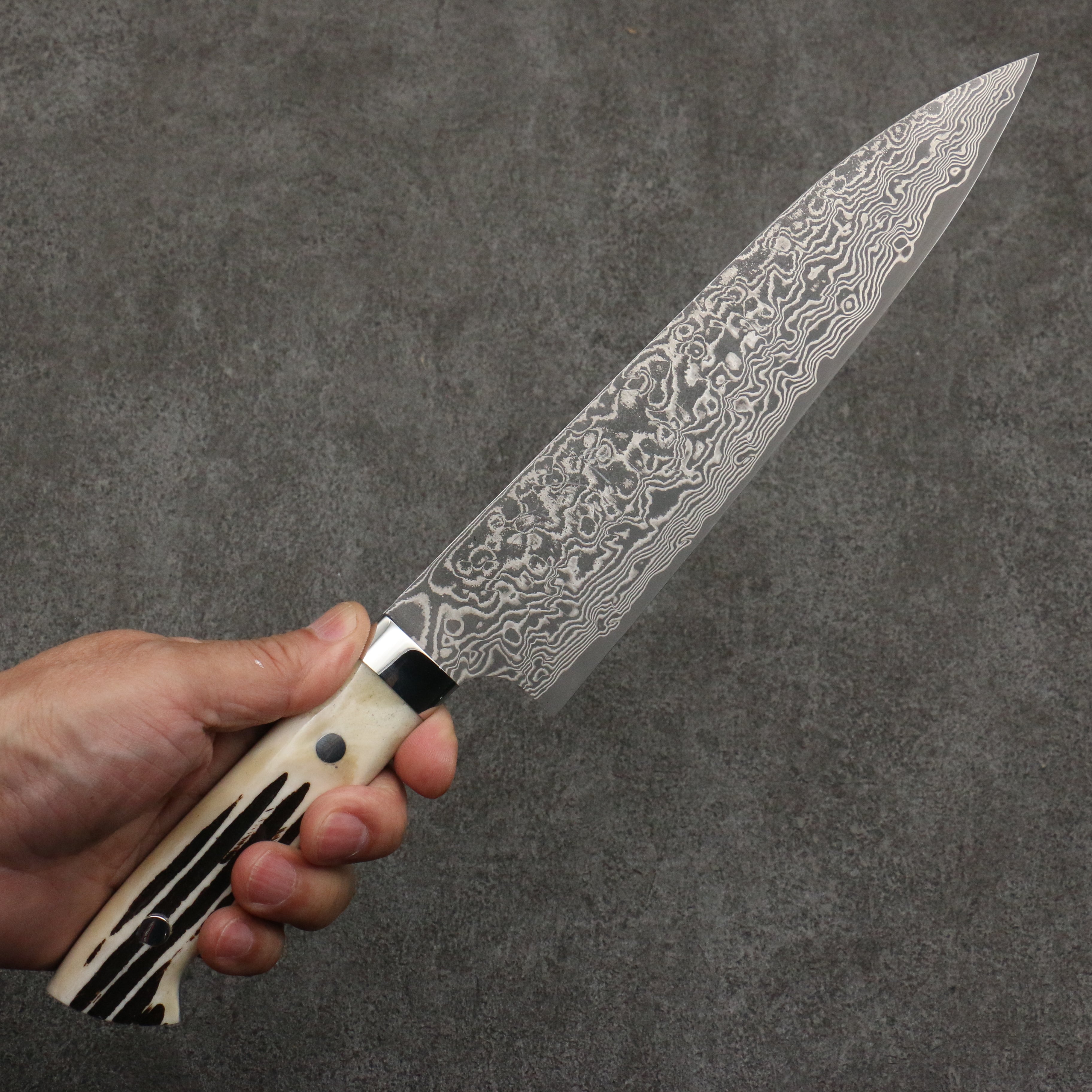 Takeshi Saji SG2 Black Damascus Gyuto 210mm White Deer Horn Handle - Seisuke Knife