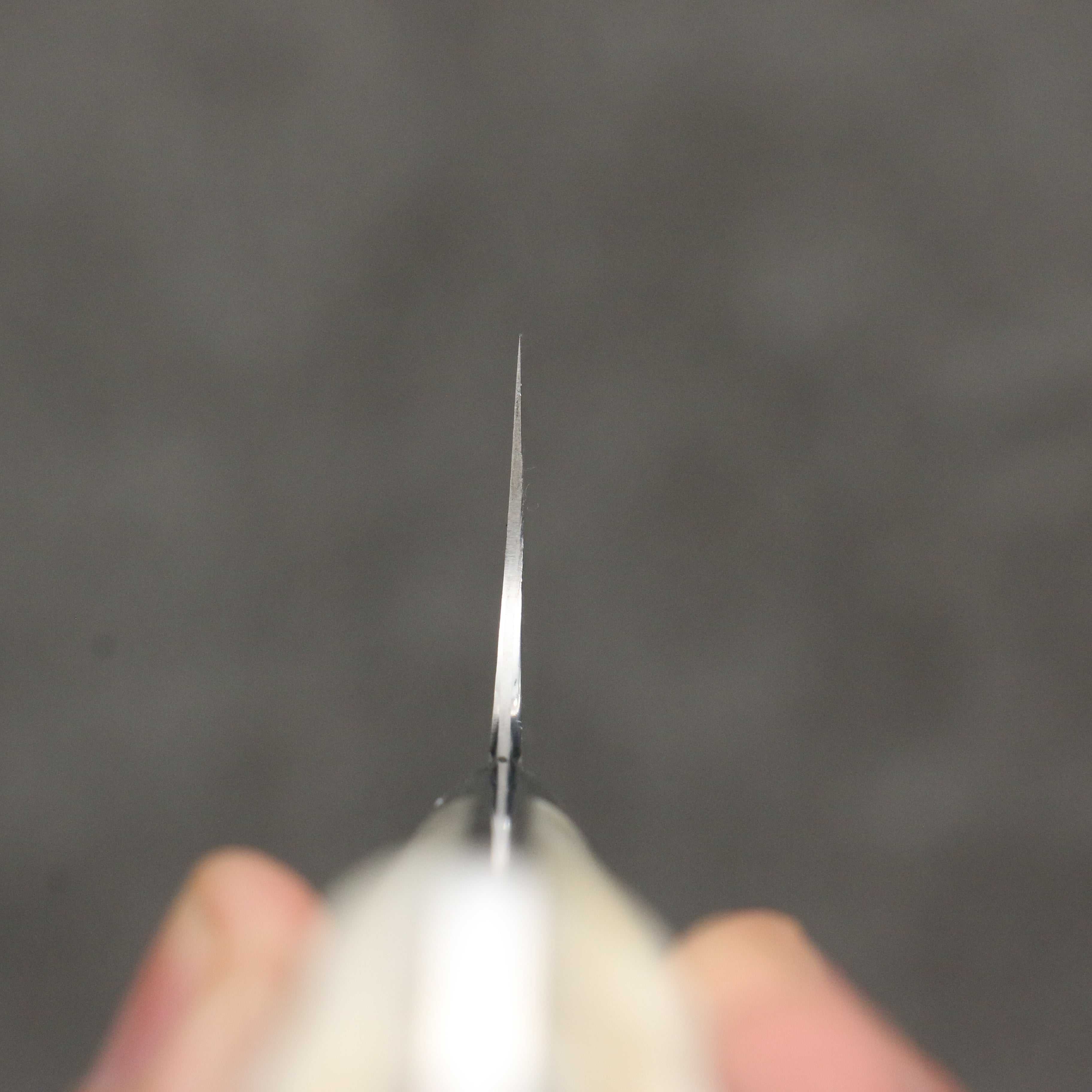 Takeshi Saji SG2 Black Damascus Gyuto 210mm White Deer Horn Handle - Seisuke Knife