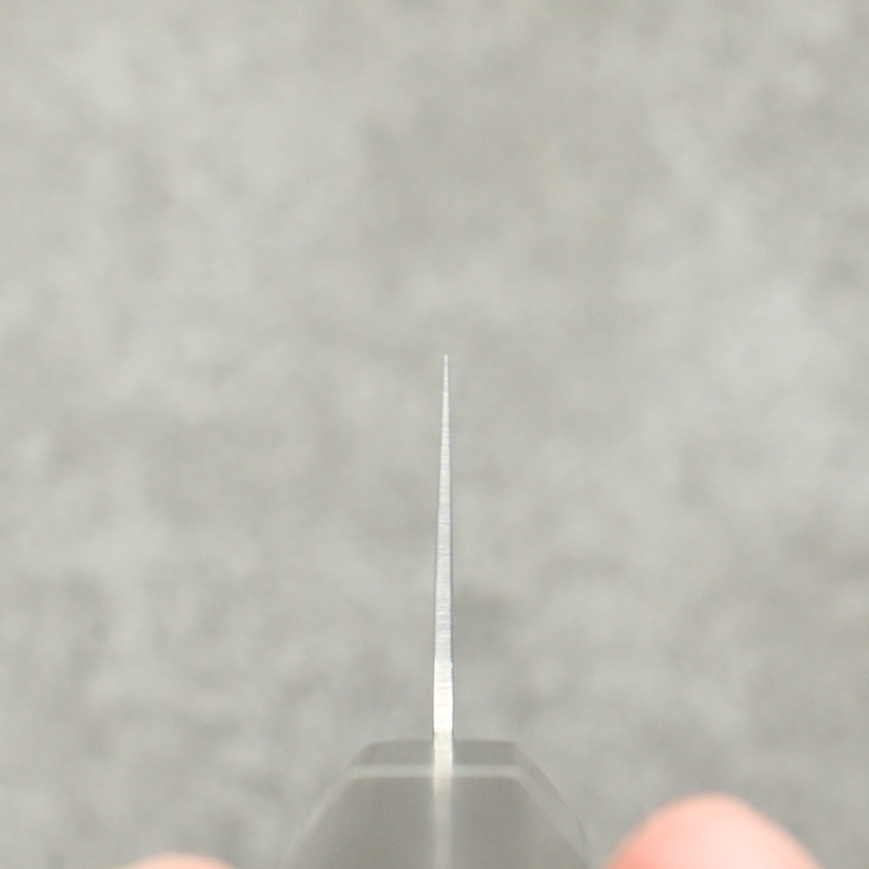 Seisuke AUS10 Mirror Crossed Kiritsuke Gyuto 210mm Black Pakka wood Handle - Seisuke Knife