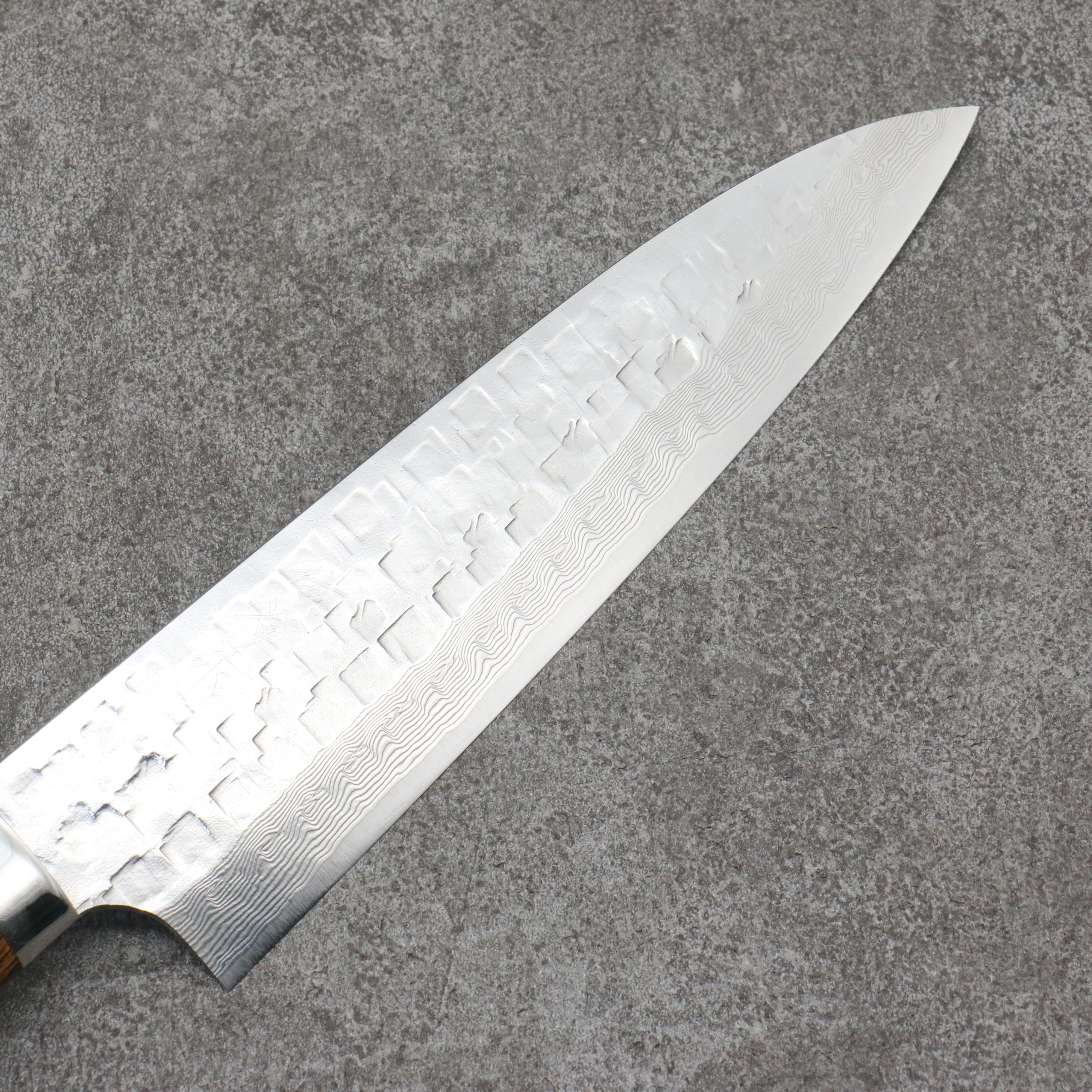 Takeshi Saji VG10 Hammered Damascus Cross Gyuto210mm Ironwood Handle - Seisuke Knife