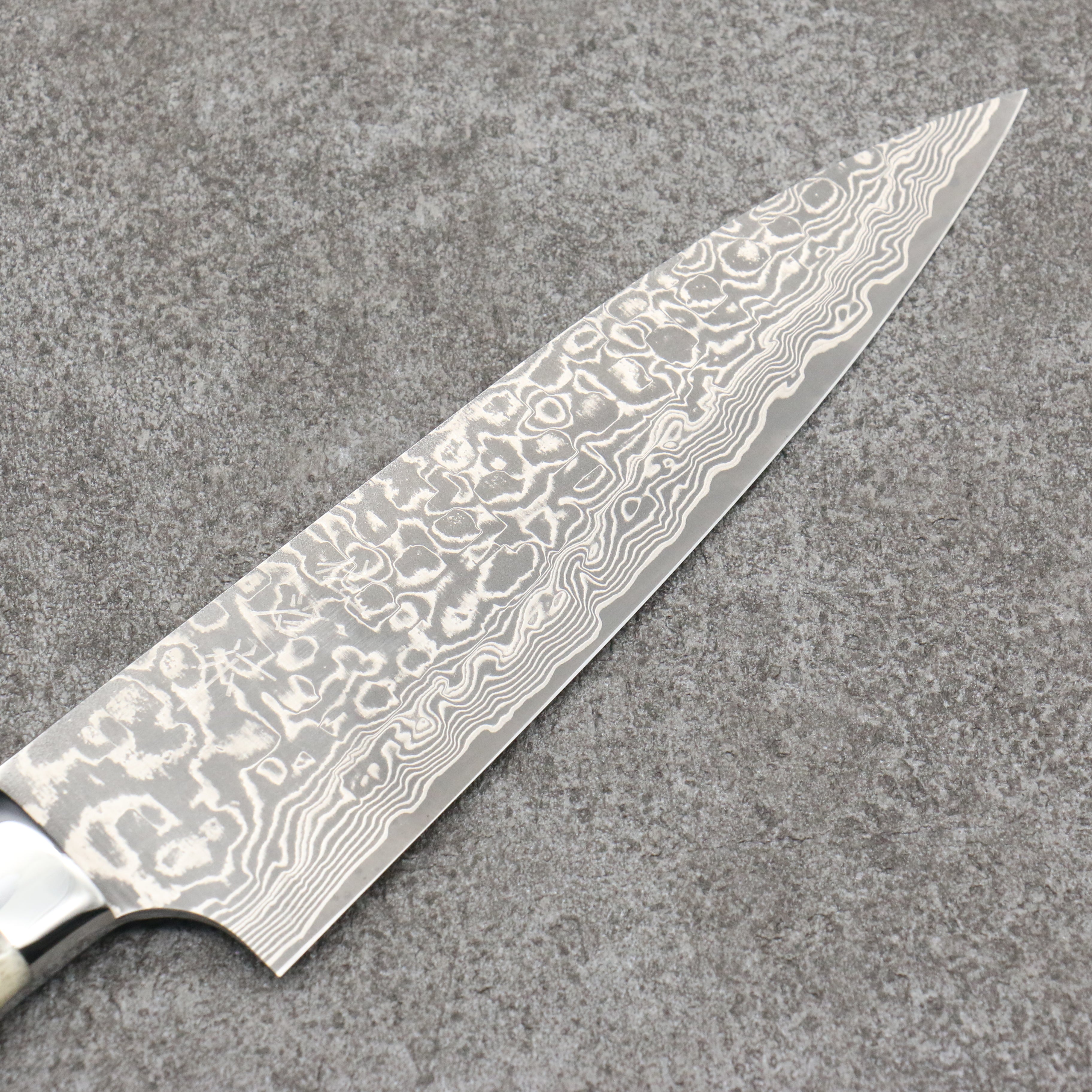 Takeshi Saji SG2 Black Damascus Gyuto150mm White Deer Horn Handle - Seisuke Knife