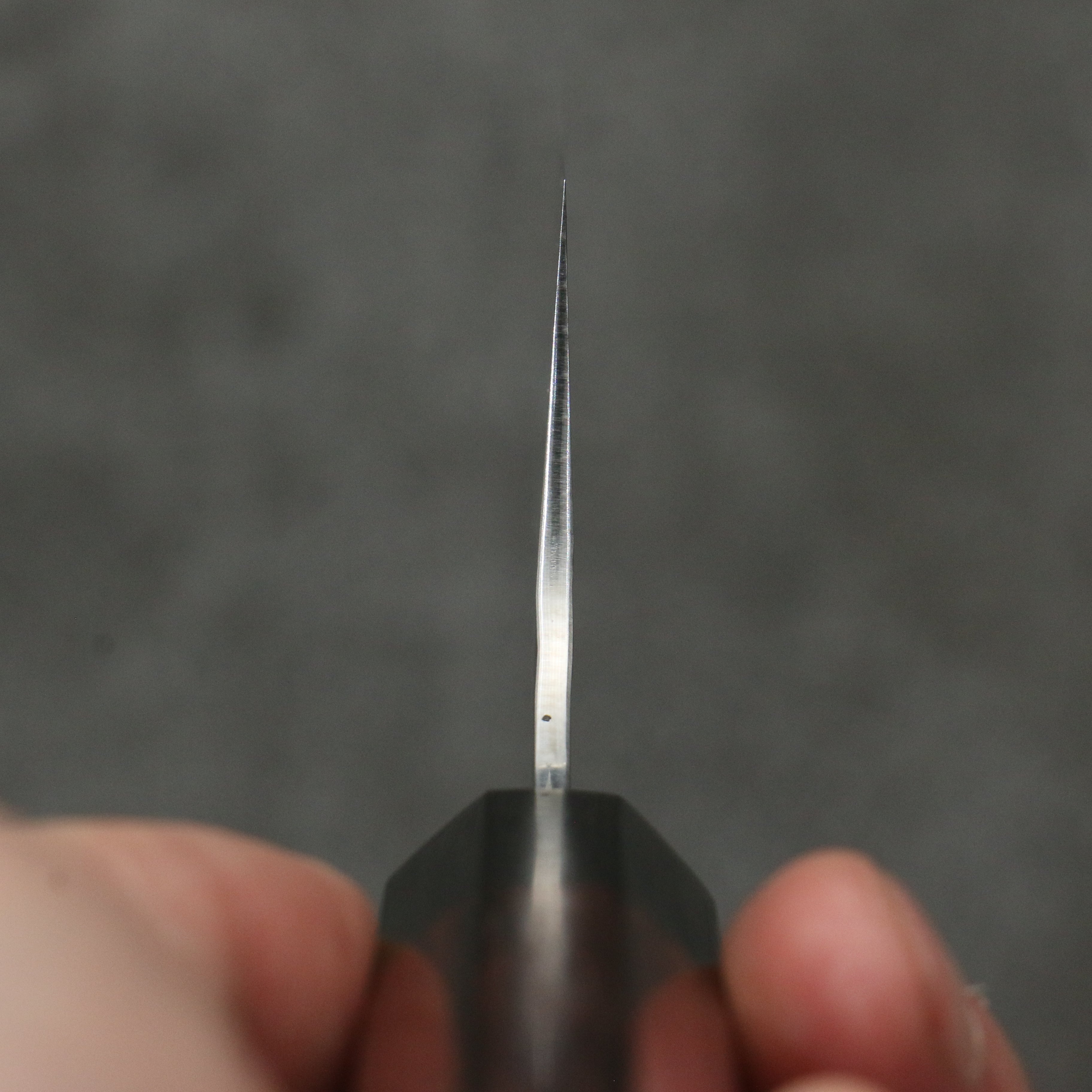 Yu Kurosaki Senko Ei SG2 Hammered Gyuto 210mm Rosewood Handle - Seisuke Knife