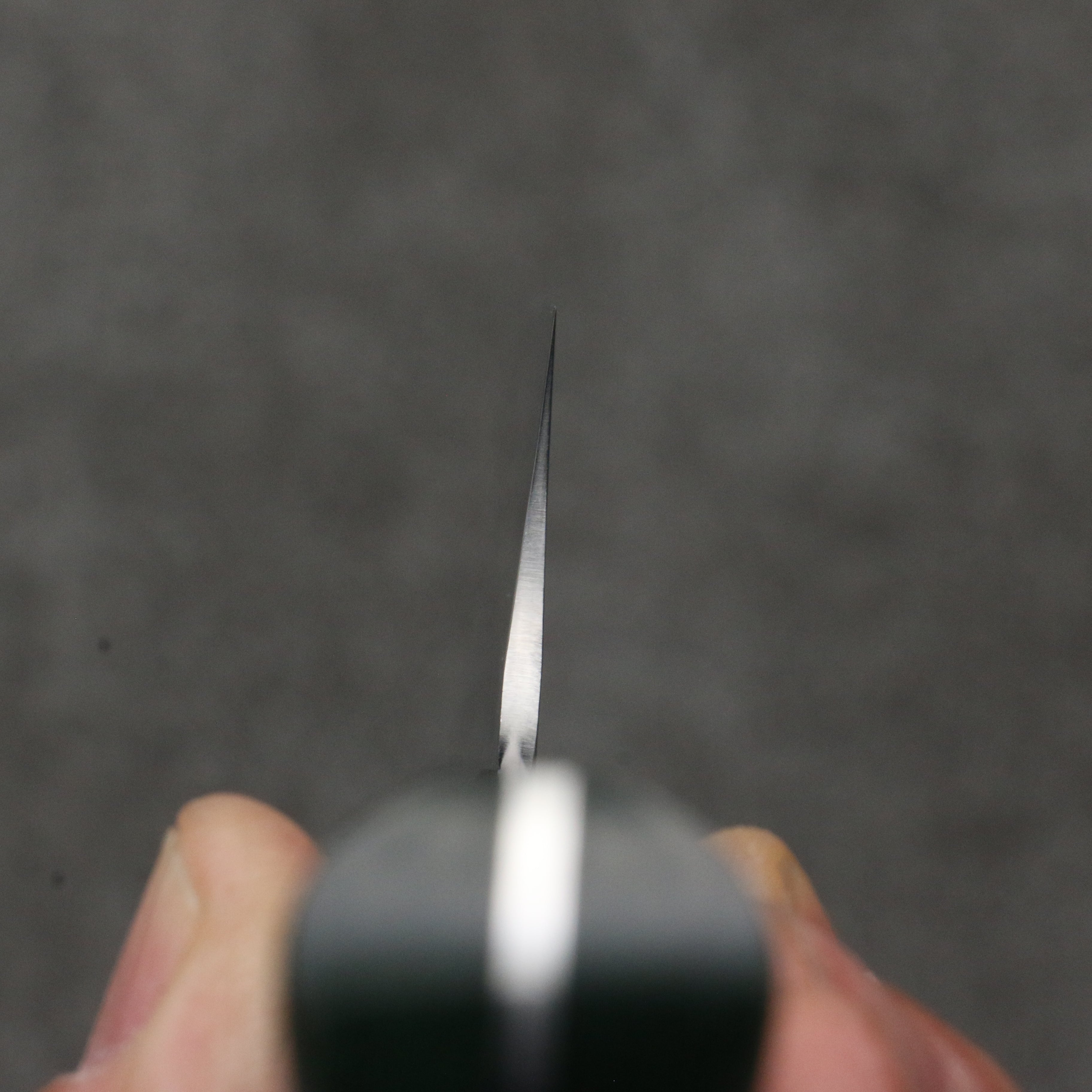 Takeshi Saji New Nomura Style SRS13 Hammered Gyuto 210mm Green Micarta Handle - Seisuke Knife