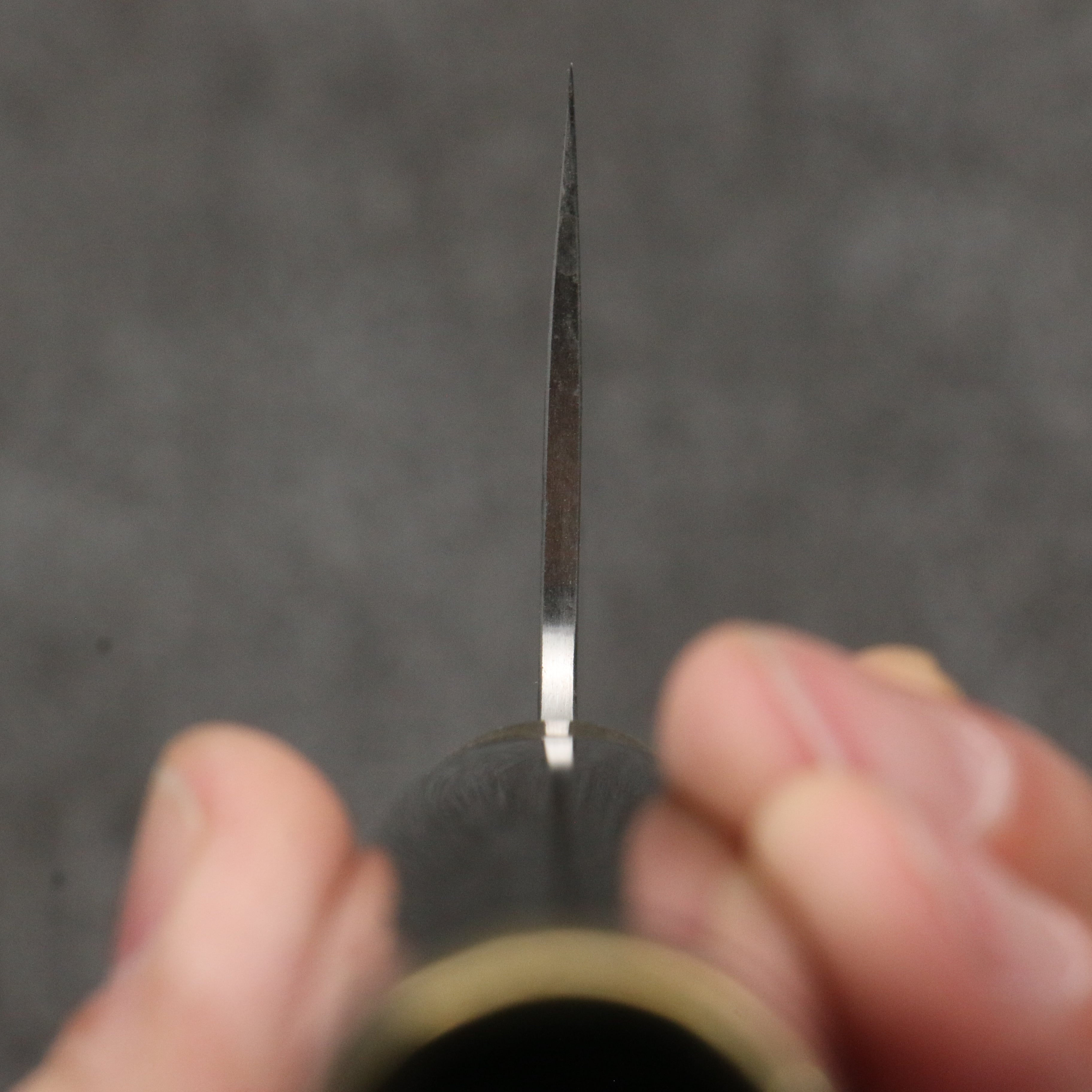 Takeshi Saji Maki-e Art Red Fuji Sheath SG2 Damascus Gyuto 270mm Maki-e Art Handle with Sheath - Seisuke Knife