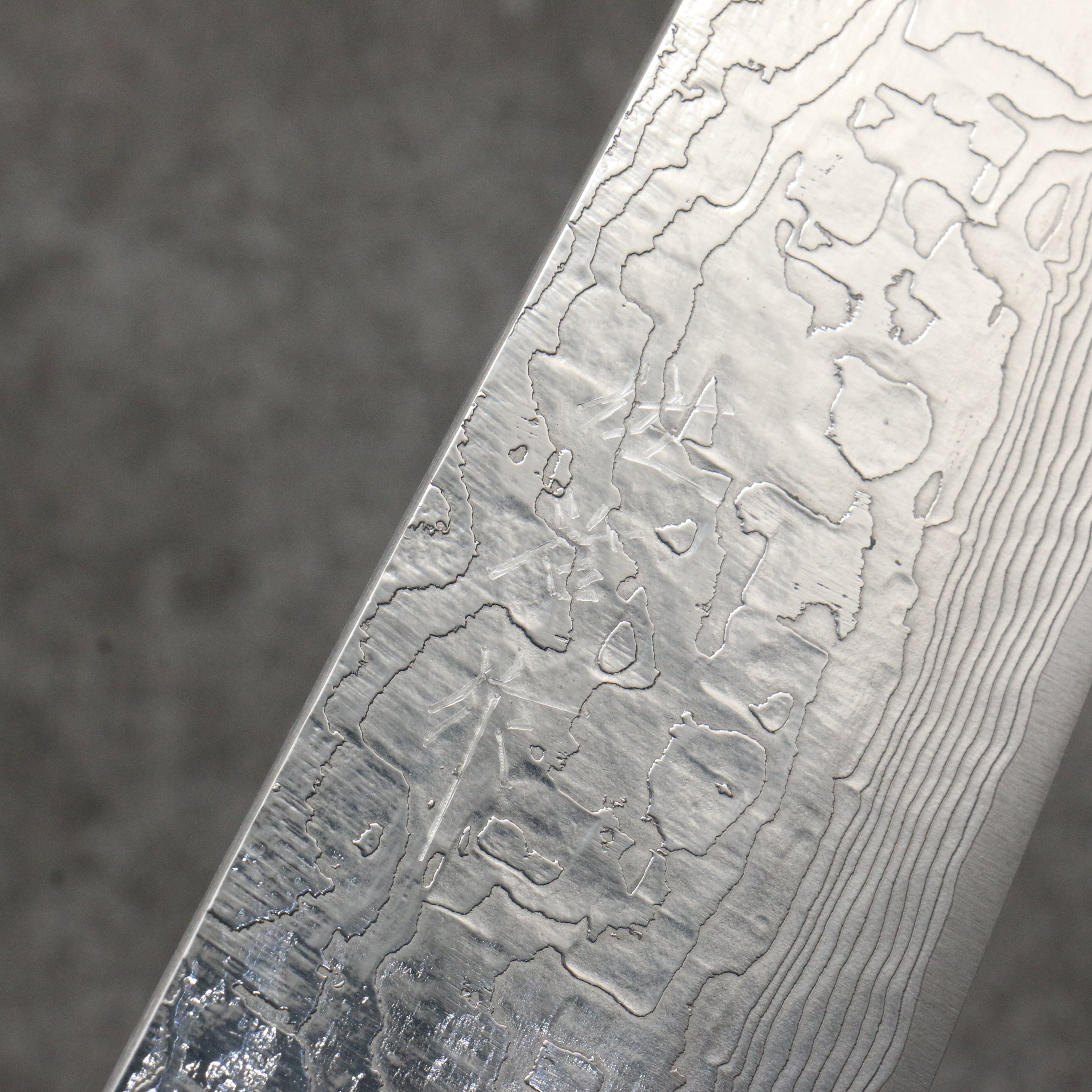 Takeshi Saji Maki-e Art Fuji and Waves Sheath SG2 Damascus Diamond Finish Gyuto 240mm Maki-e Art Handle with Sheath - Seisuke Knife