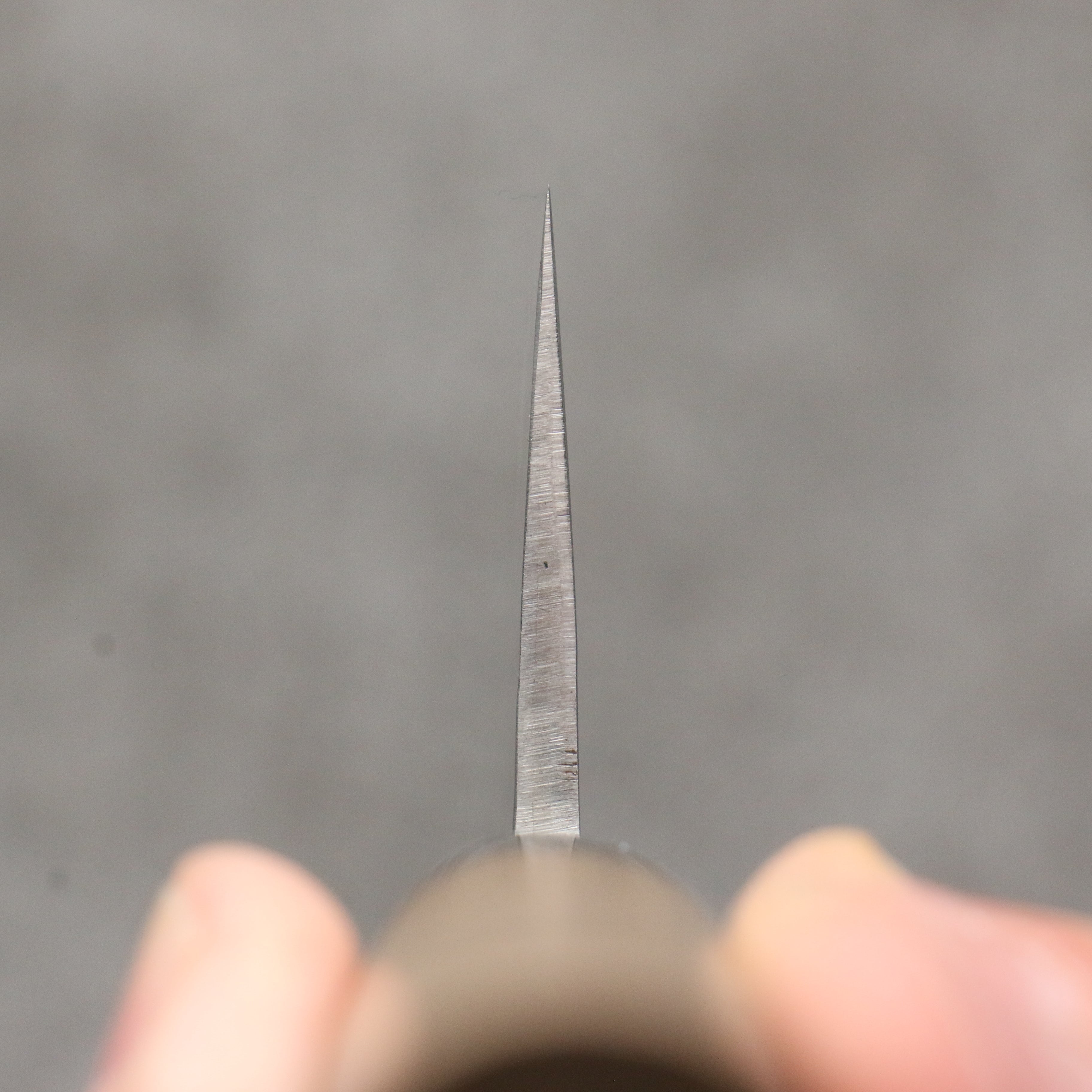 Tadafusa SLD Hammered Gyuto 240mm Walnut Handle - Seisuke Knife